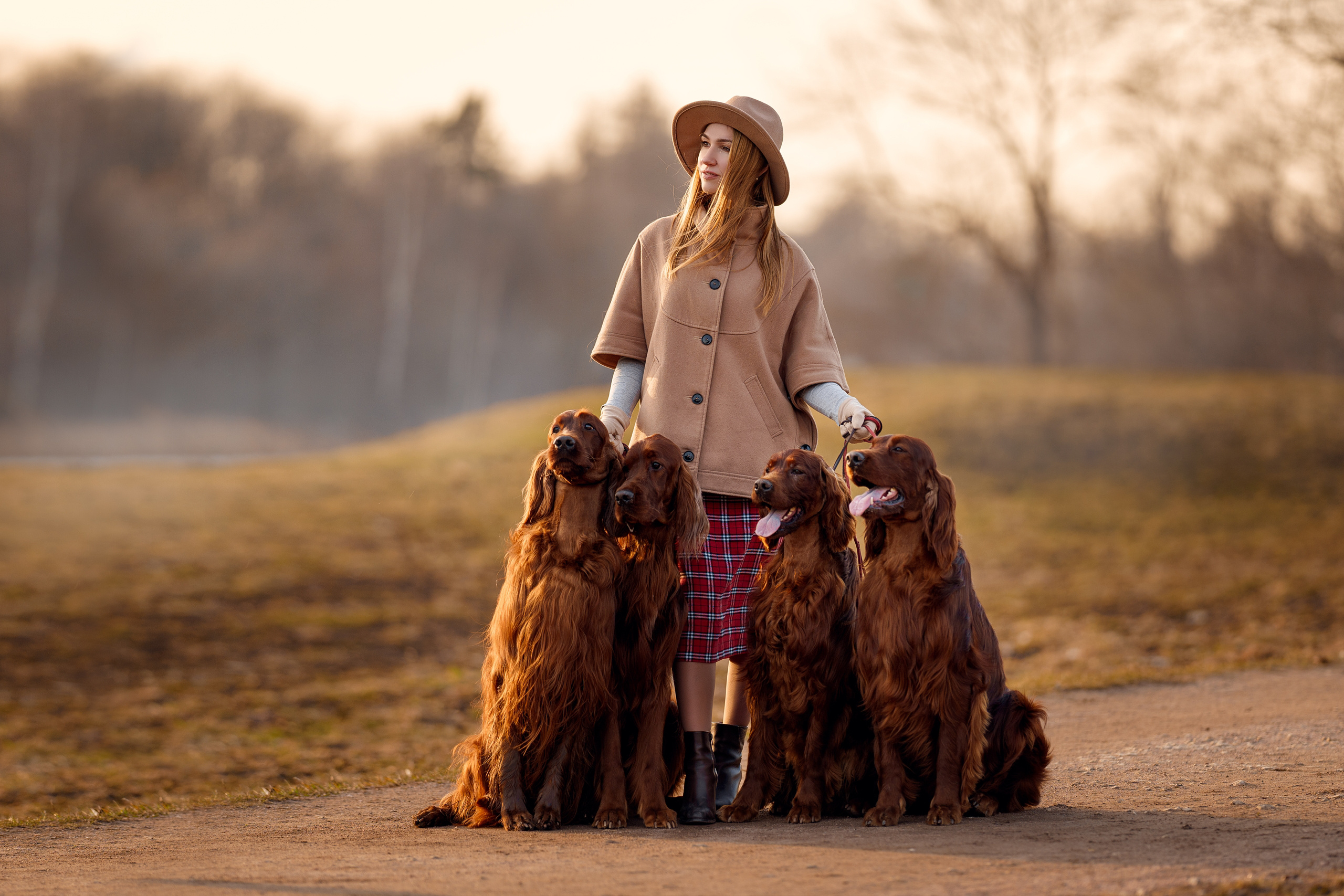 Фотосессии с вашими любимцами. Фотограф Артемьева Катерина|фотосессии с лошадьми