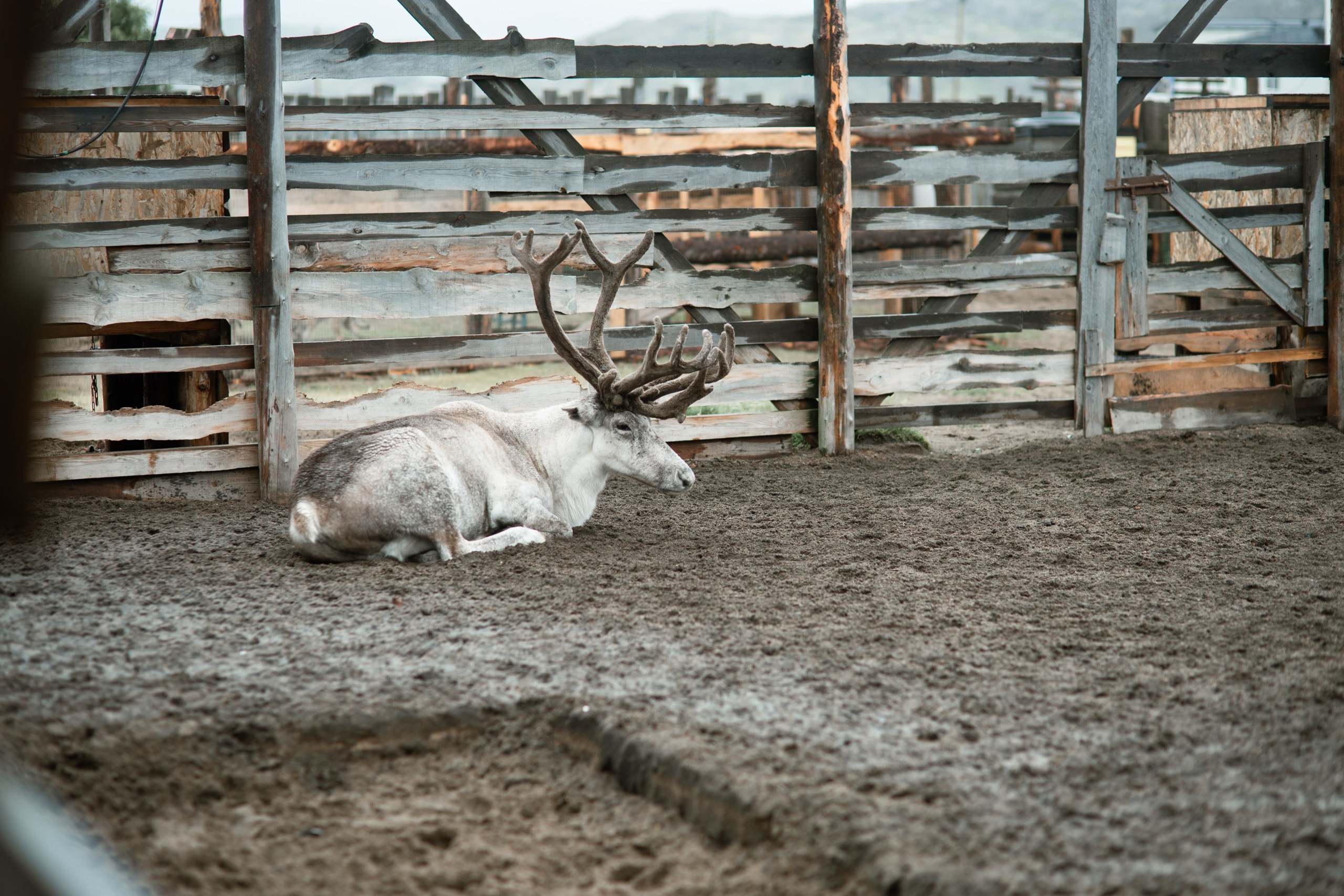 Мурманск. Фотограф Сергей Красильников