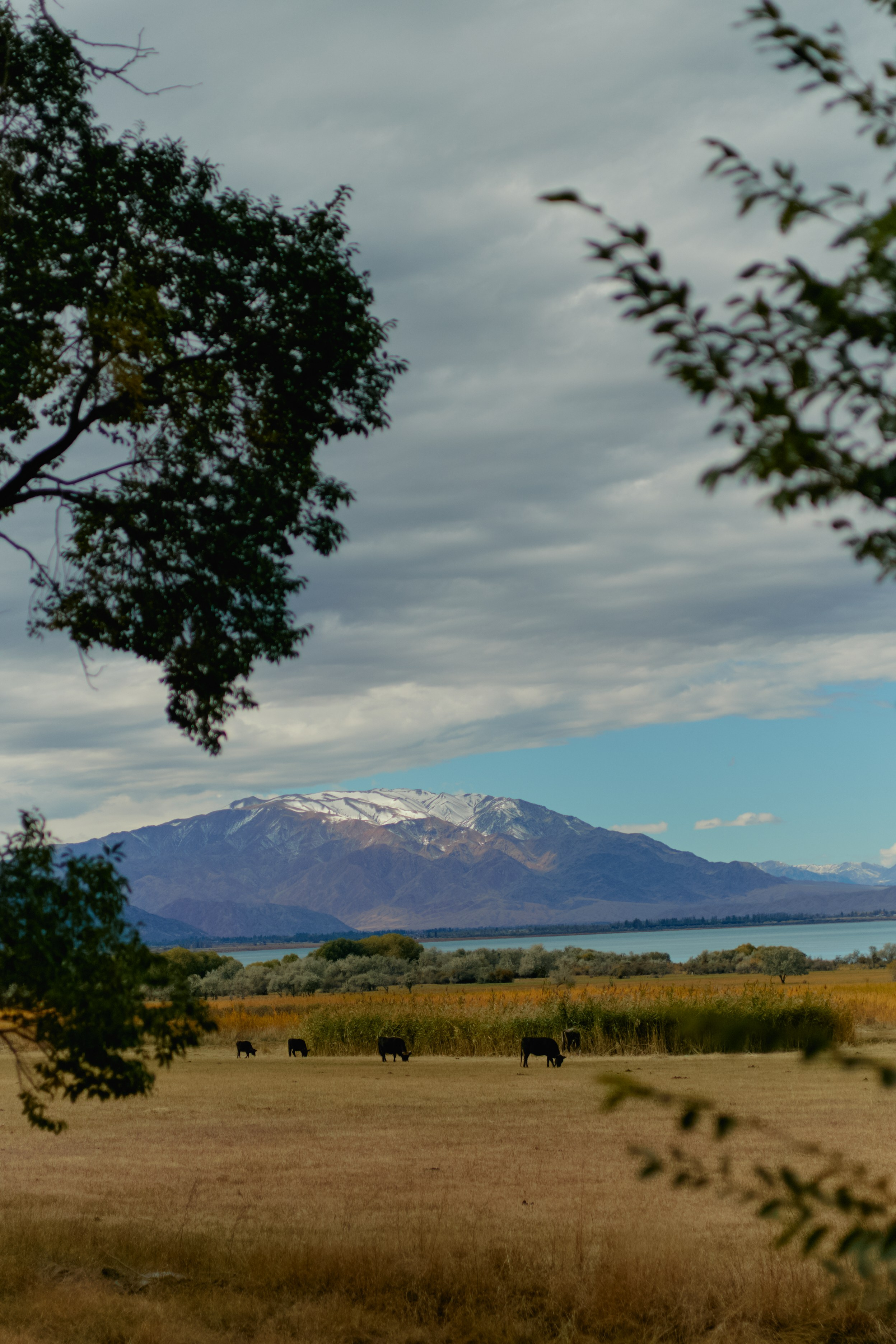 Кыргызтан. Профессиональный Фотограф во Владимире, в Москве и в Суздале — Полина Романычева