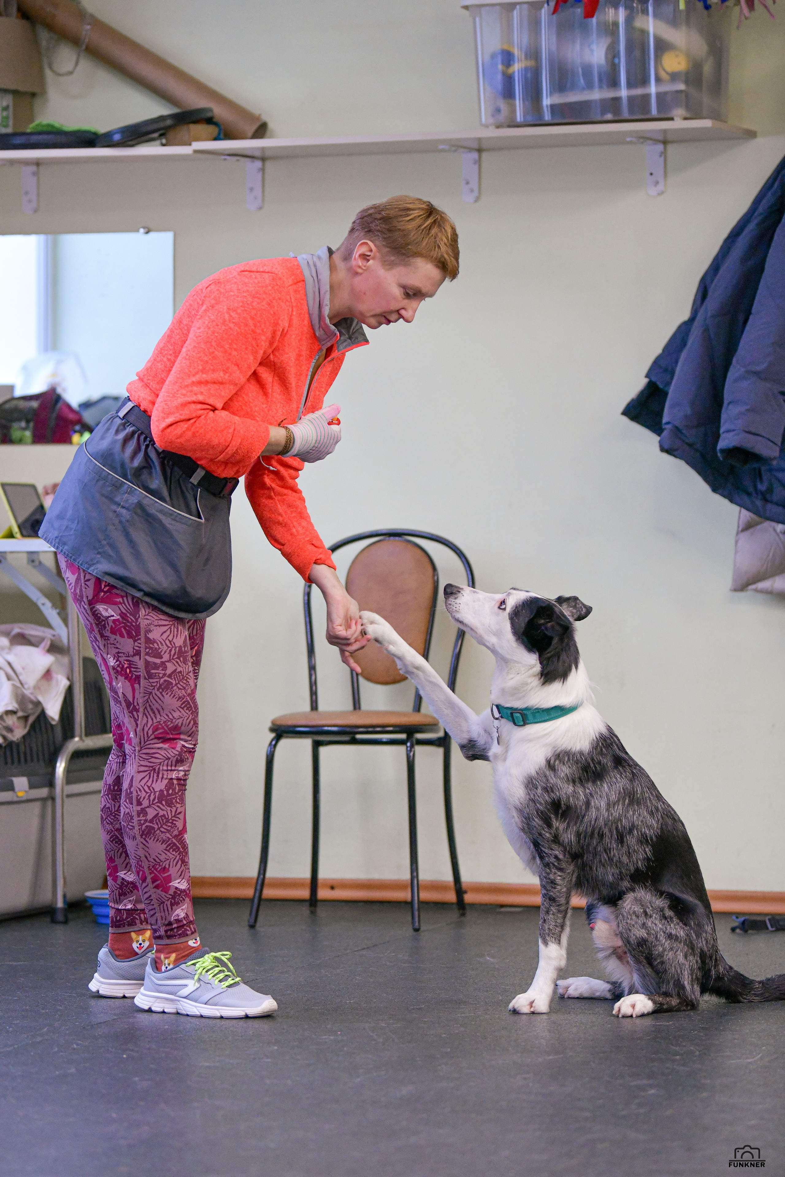 Кинологический клуб «Бодрый хвост». Свой взгляд через объектив