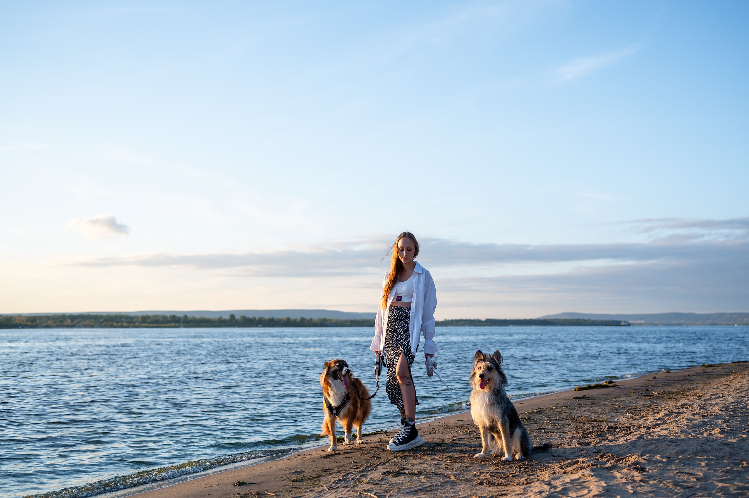 Лиза, Клопа и Хрюша. Главная
