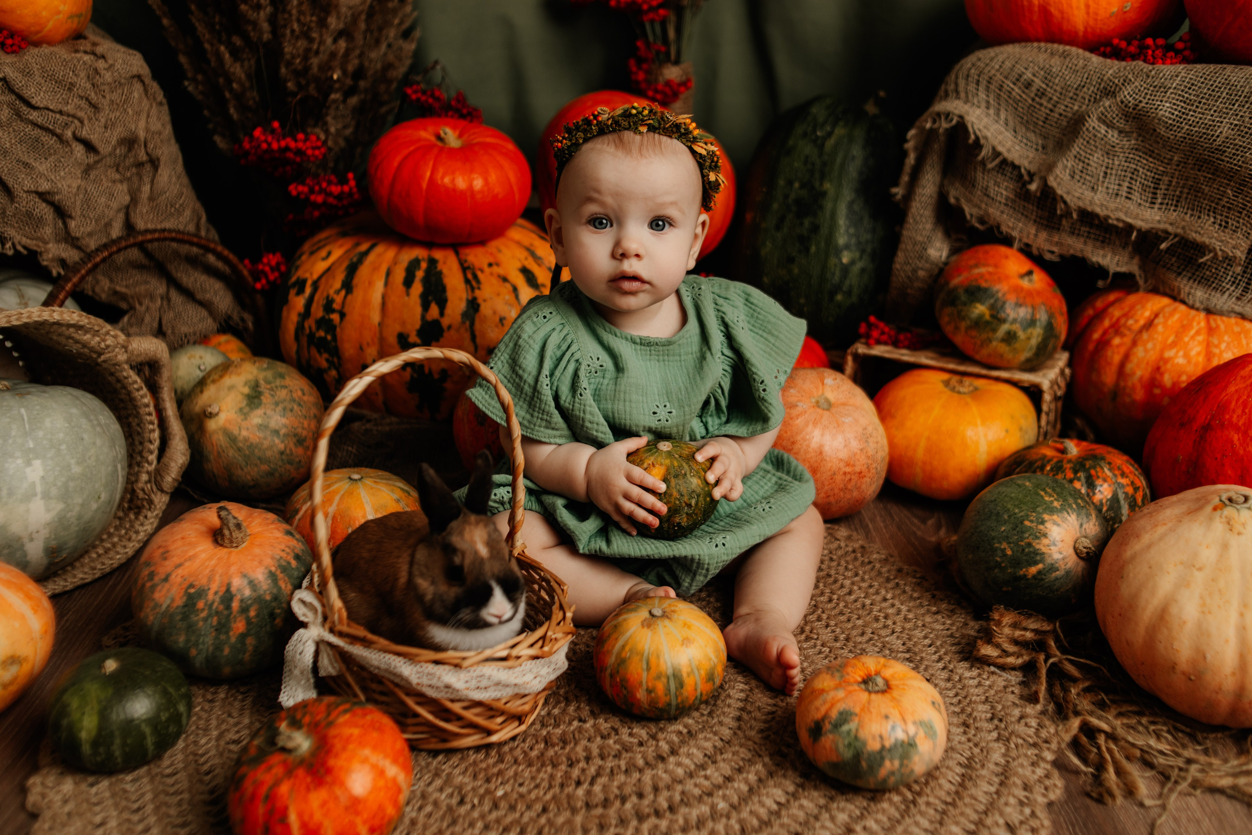 Фотопроекты. Фотограф новорождённых семейный фотограф Томск Елена Каплина