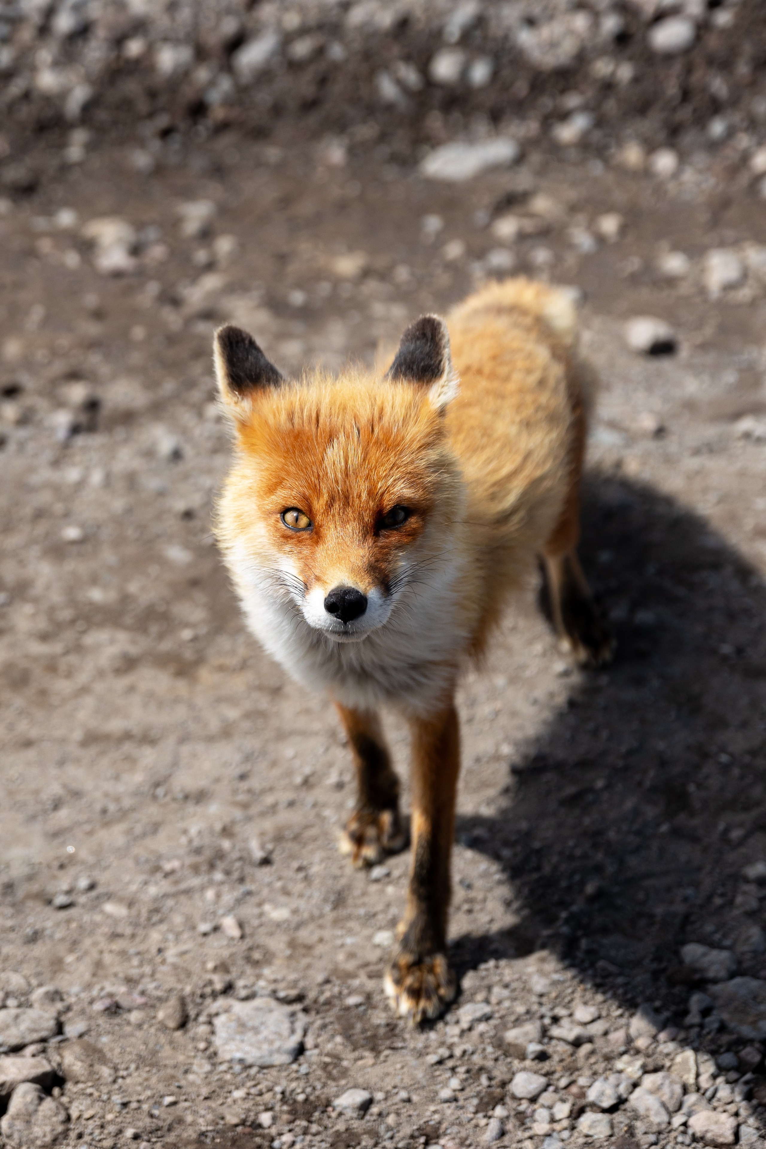 Репортаж туризм. Фотограф на Камчатке