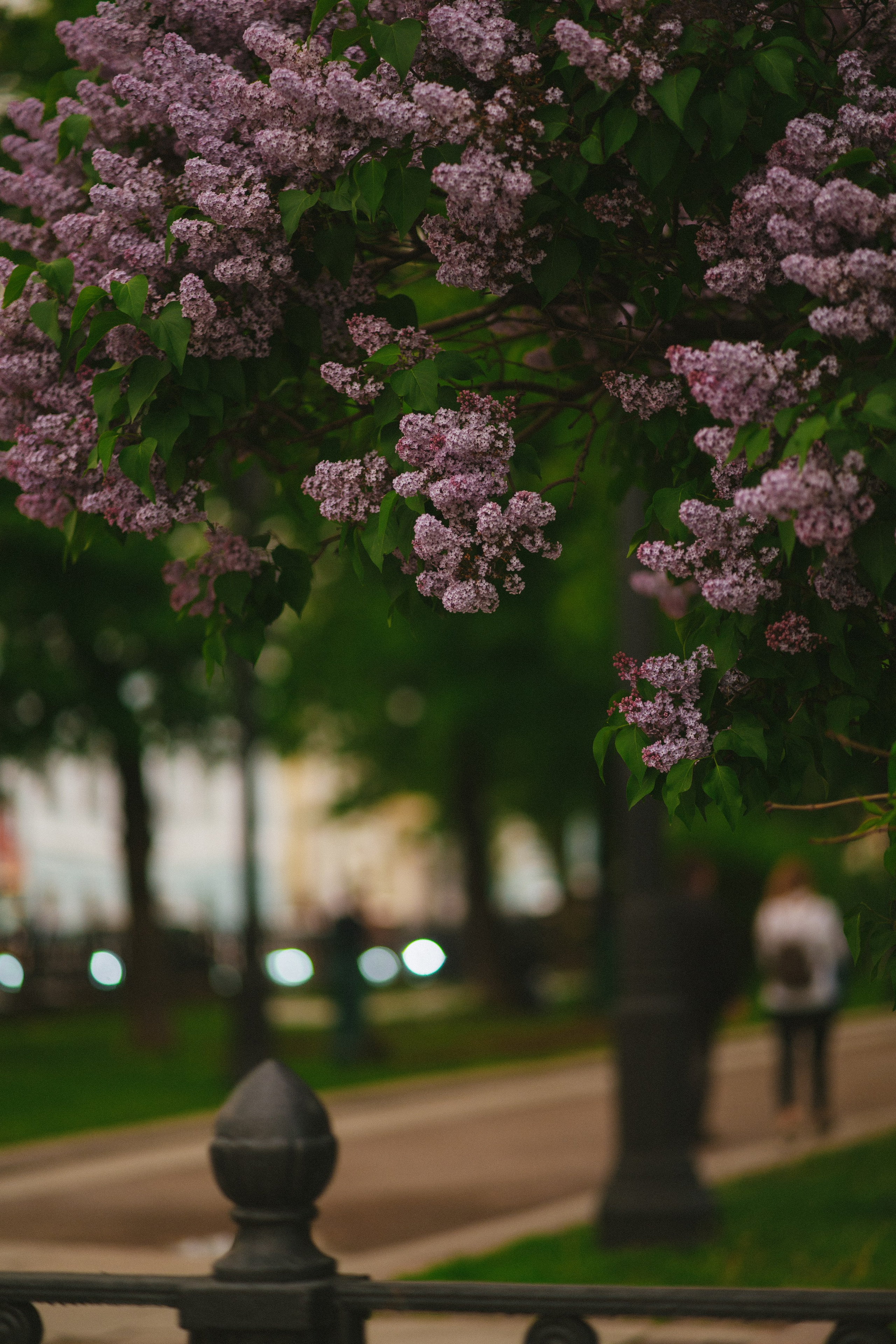 Москва. Фотограф Екатерина Катунова | Москва