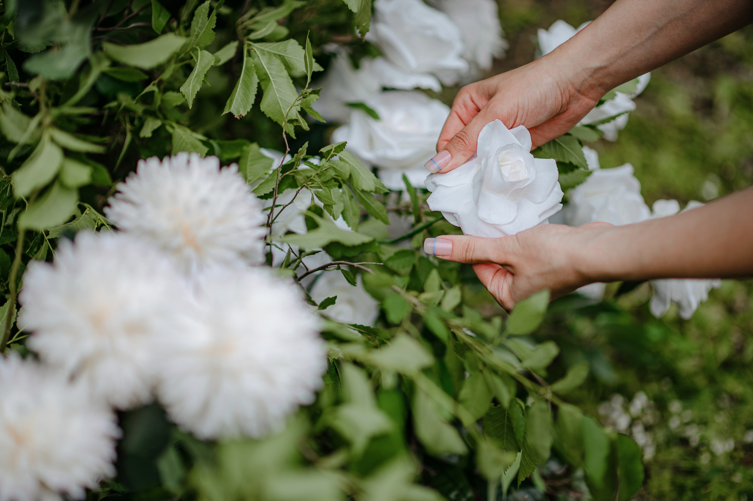Съёмка свадебного декора. 100-й пруд. Свадебный фотограф Константинова Елена