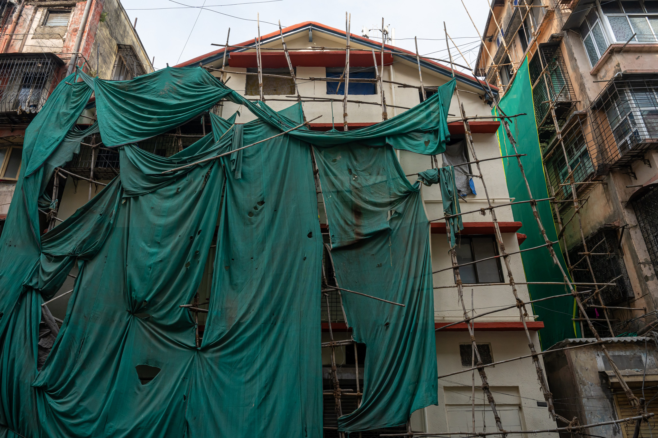 India 2024-2025. Dimitri Bakhtadze photographer