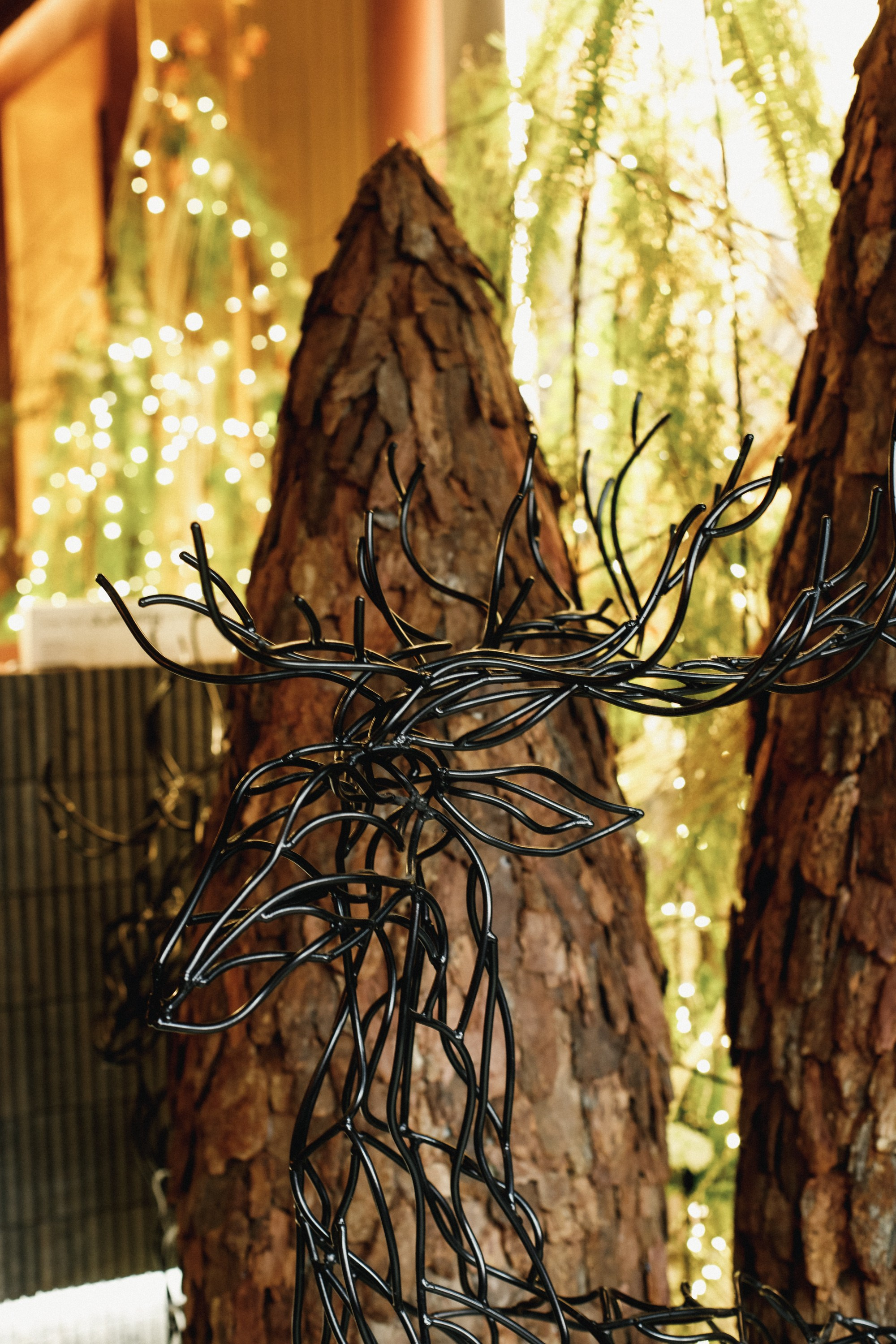 ХАРИБУ [ГАСТРОУЖИН]. СВОИ. ФОТООТЧЕТЫ-СОБЫТИЯ-МЕСТА