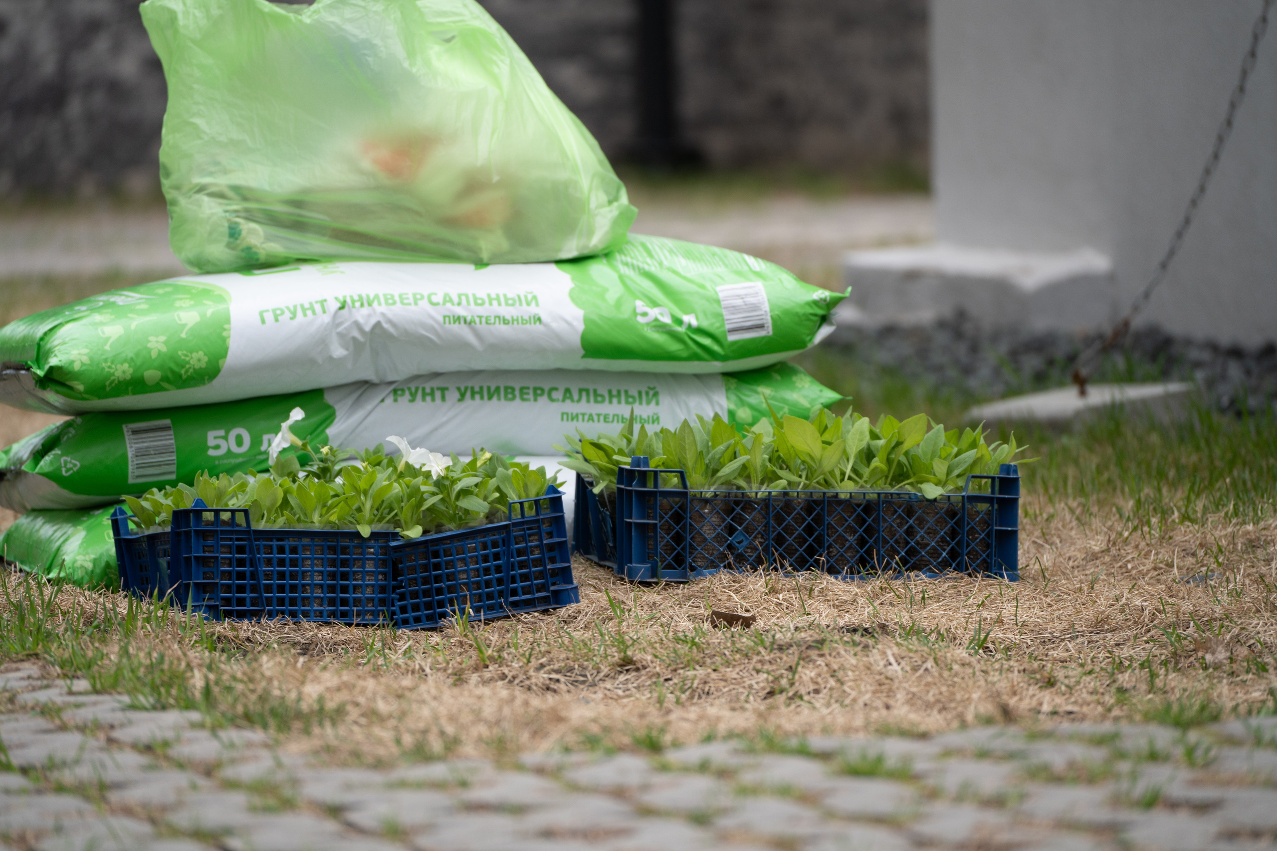 Субботник в ЖК «Панова парк». Фотограф в Самаре Иван Булатов