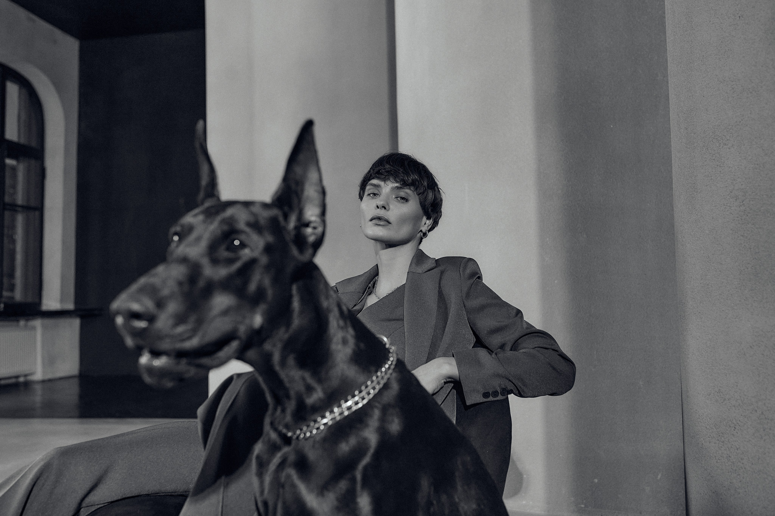 Mist доберман. Photorina — фотограф Ирина Гулемина