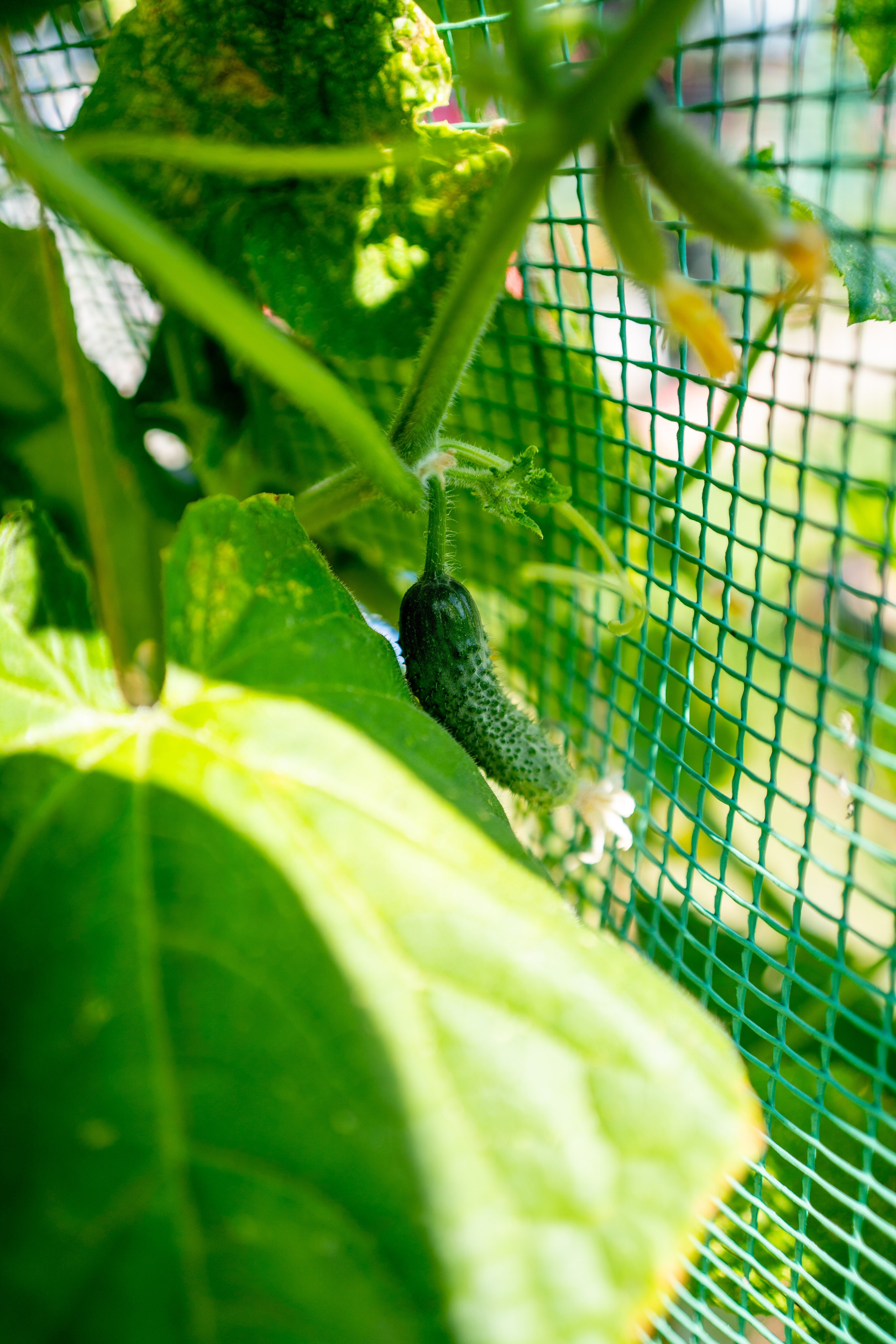 Съемка для патронажной службы. Фотограф и маркетолог Андрей Юрилин Саратов и Энгельс