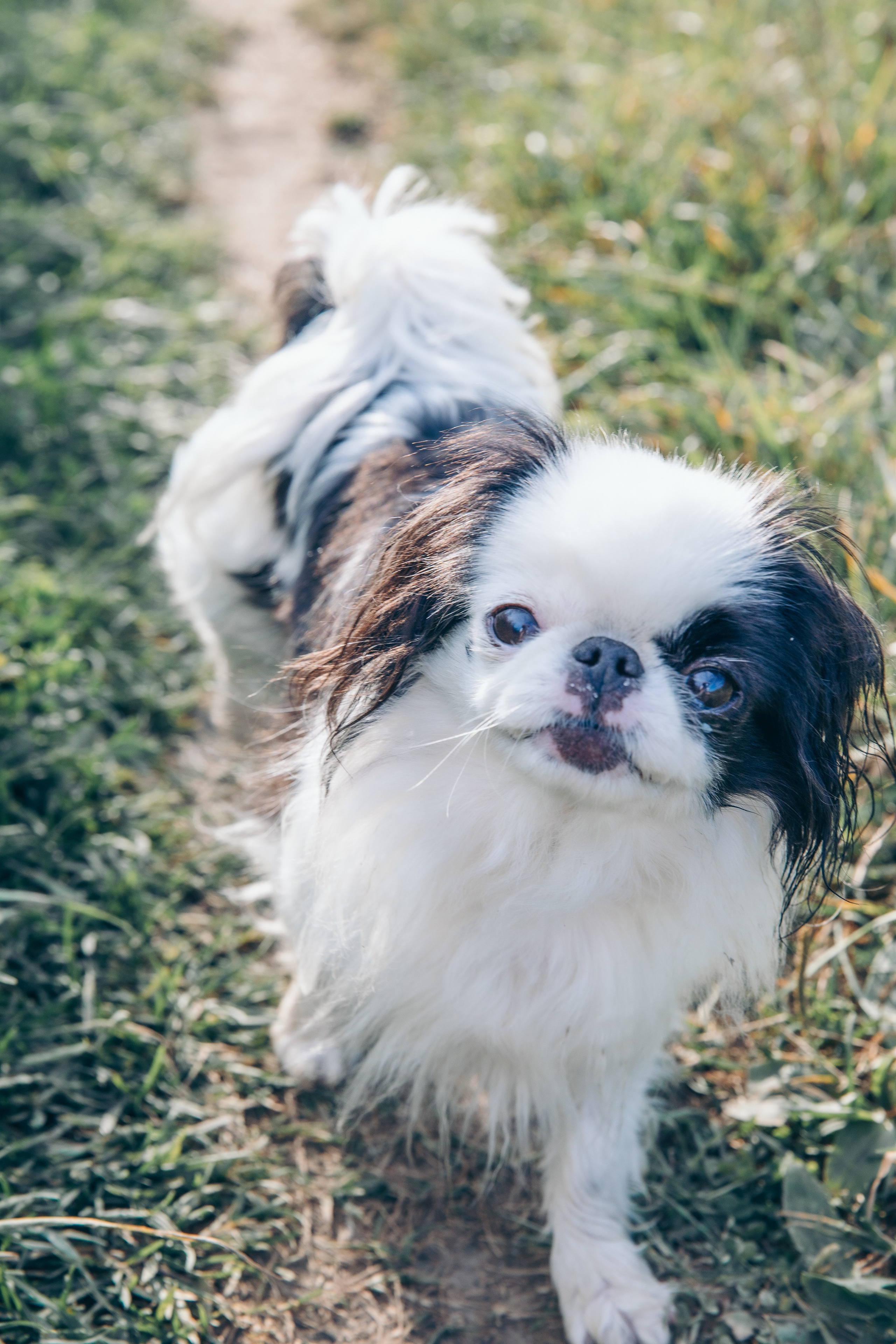 Наташа, Вадим, Арина, Тая и Пета. Август 2024. Фотограф в Санкт-Петербурге Алена Сертакова