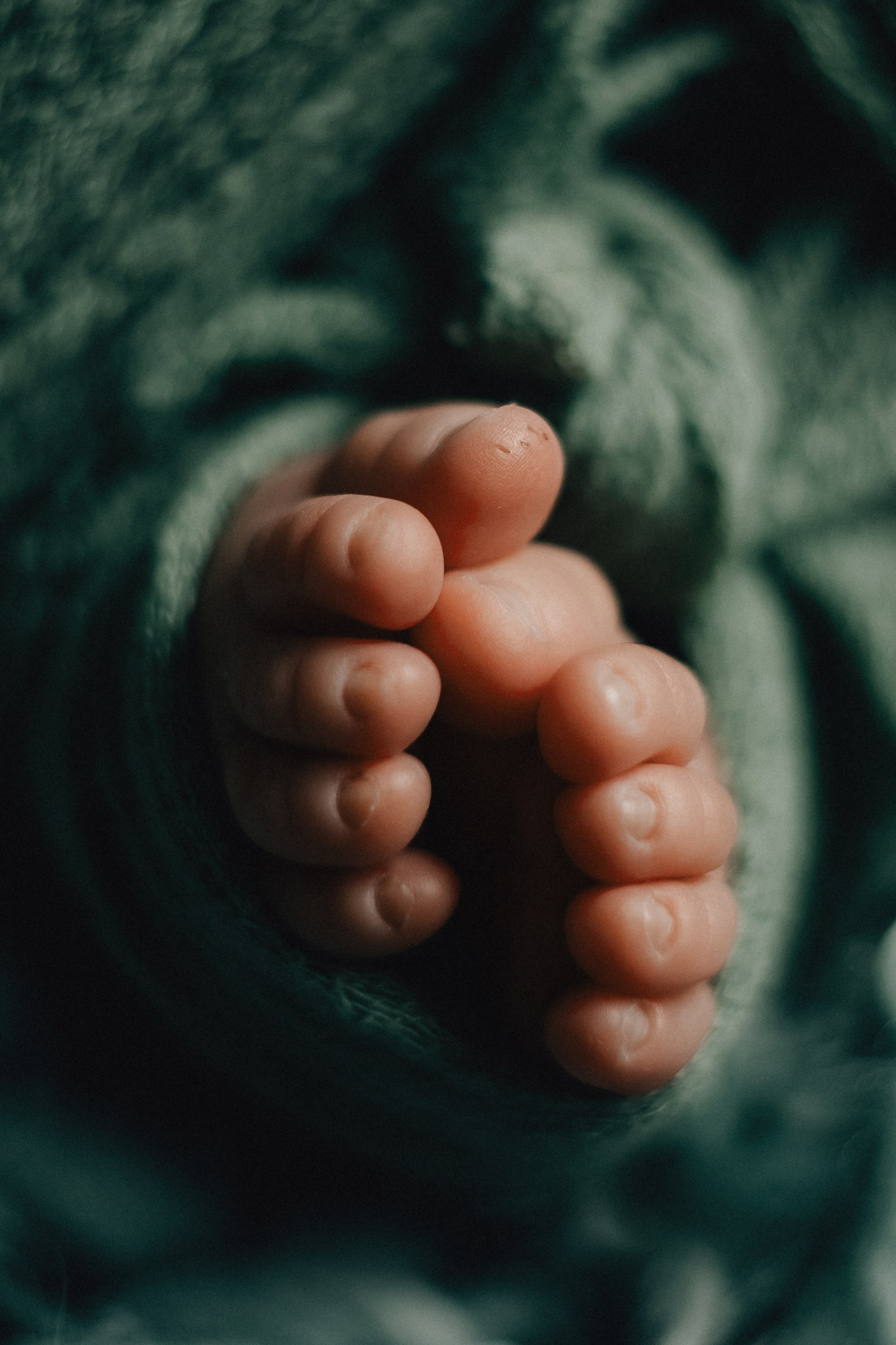 Арсений, пакет «Мини», 7 дней. Фотограф новорождённых Екатерина Боброва. Ульяновск