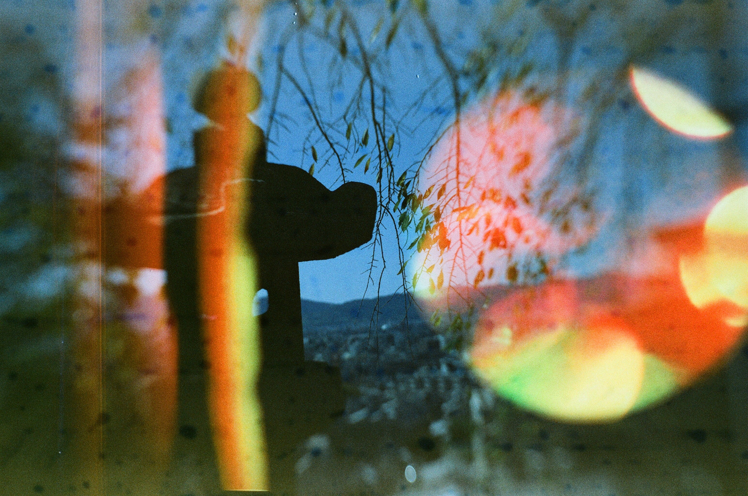 JAPAN FILM. International visual artist