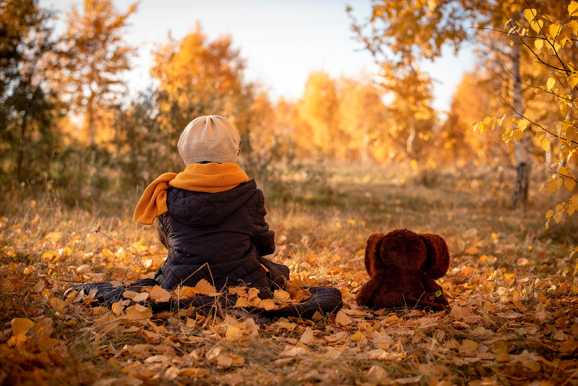 Золотые моменты. Приподаева Алёна семейный и детский фотограф в Красноярске
