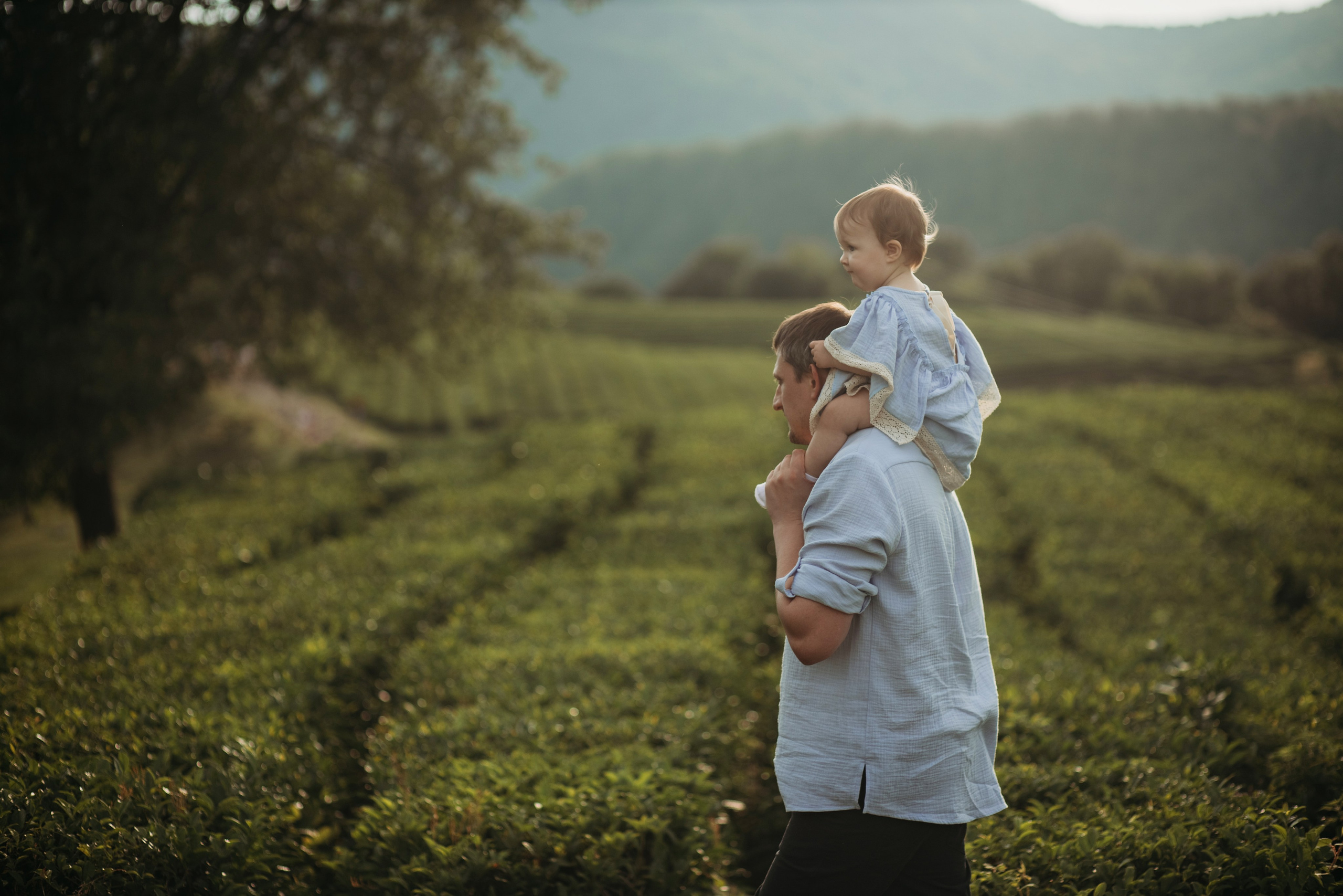 Чайные плантации мацеста. Фотограф Сочи Татьяна Зорина