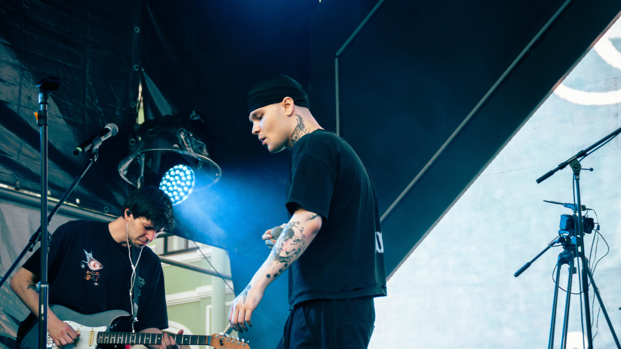 SALUKI. Фотограф montefrioree