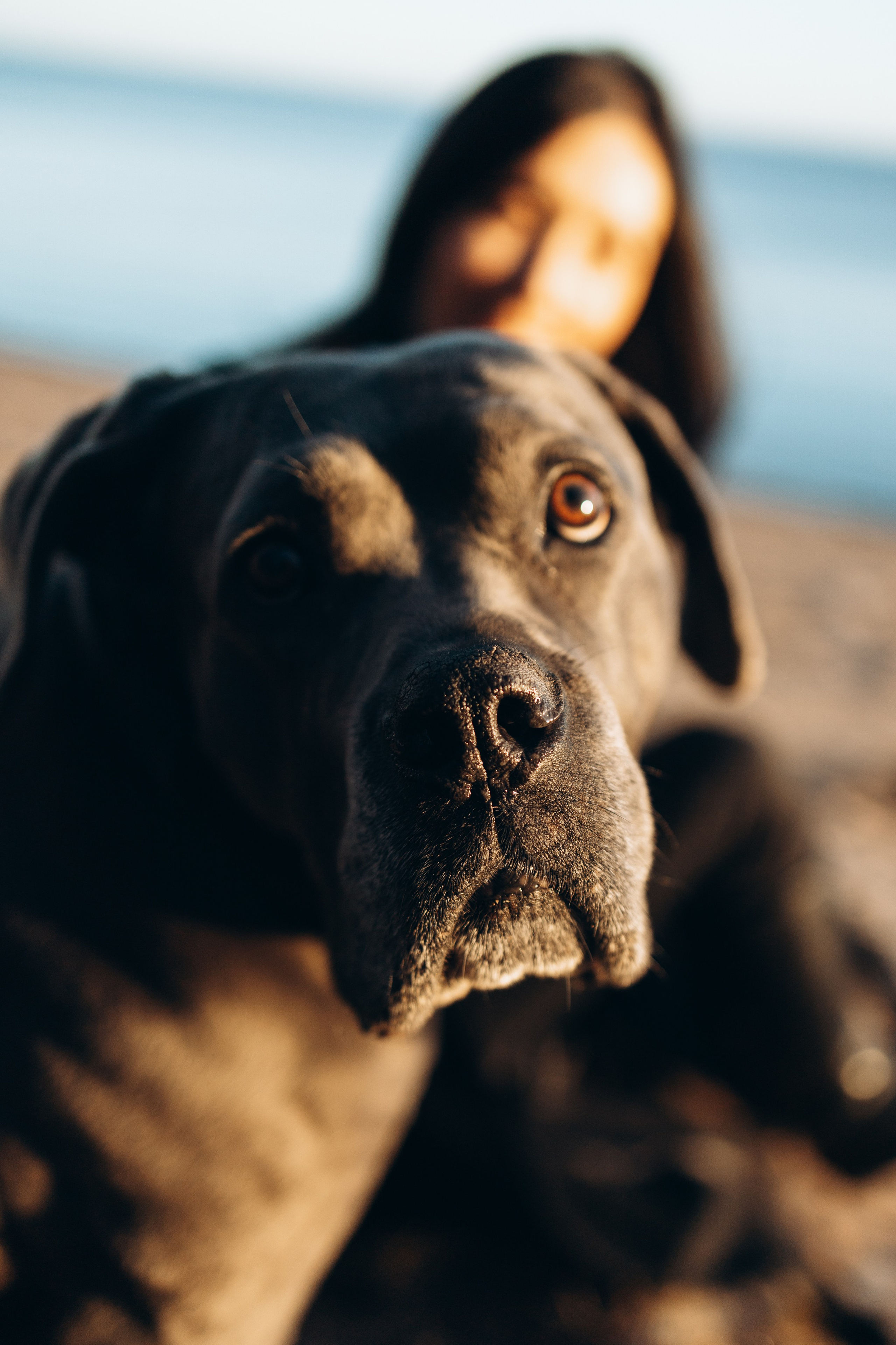 Анна и Лана. Фотограф — Анималист | Санкт-Петербург