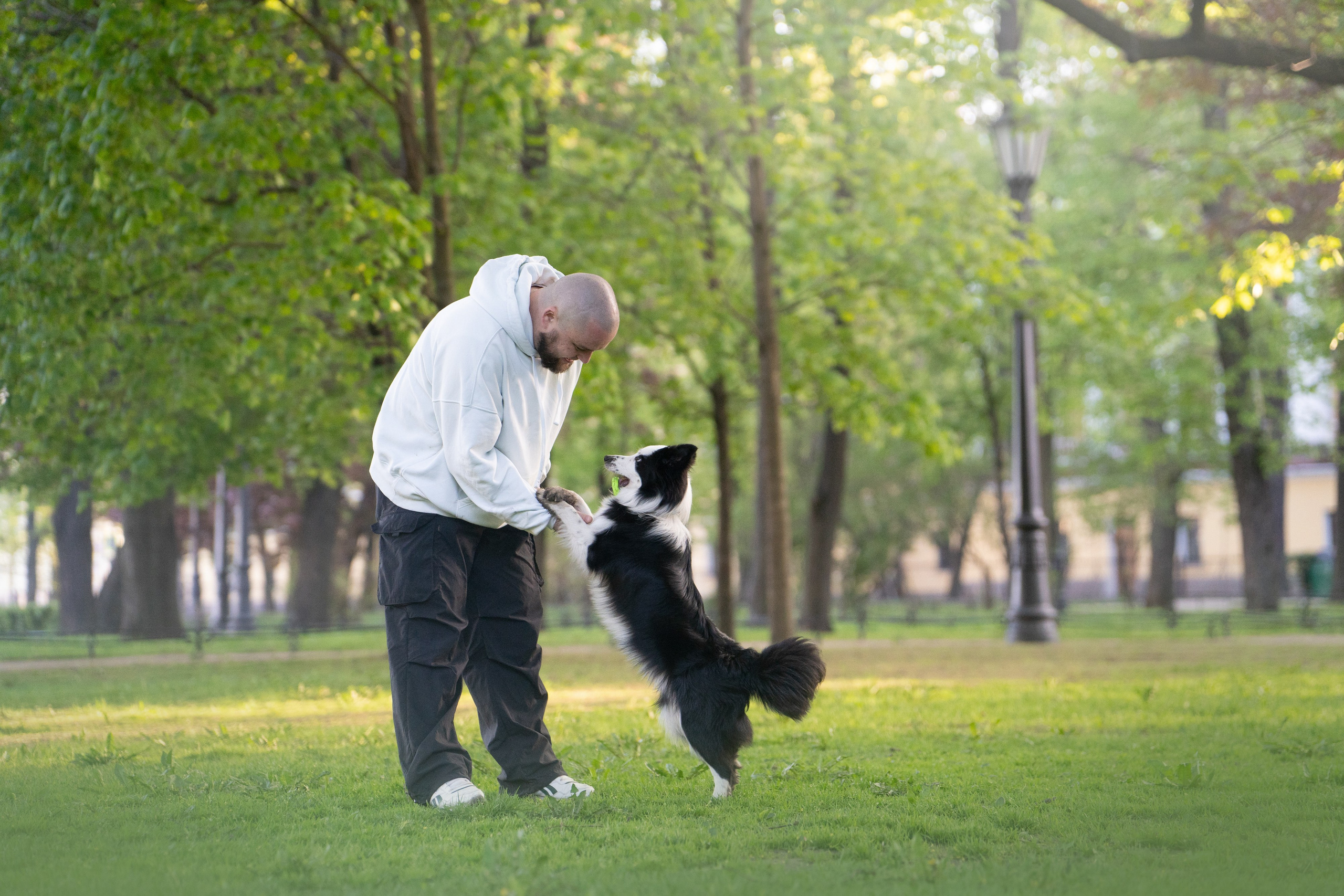 Таня, Дима и Чейси. Фотограф анималист в Москве и Санкт-Петербурге Свиридова Анна