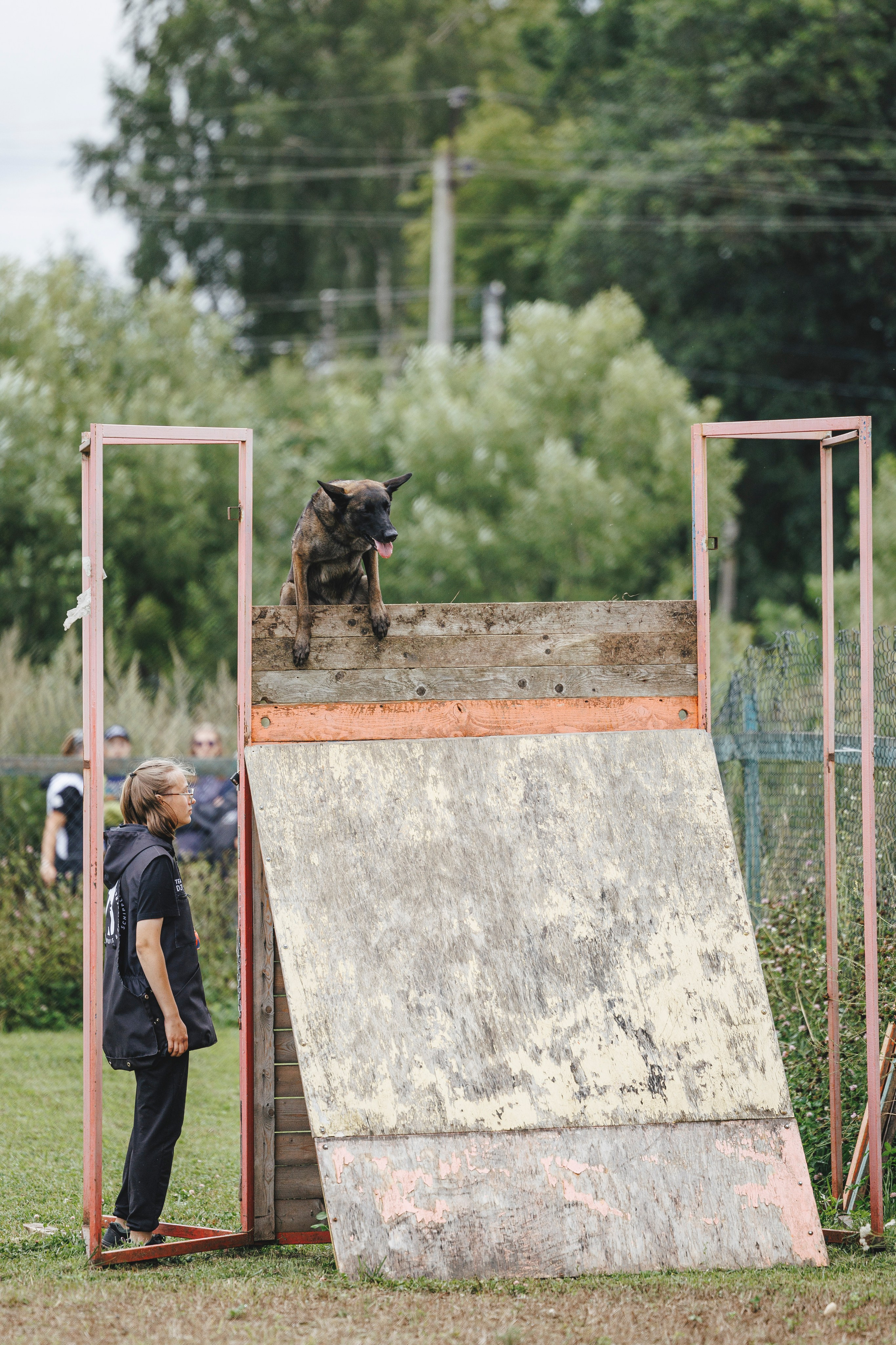 08.08.25-10.08.25 ЧР по мондьорингу г. Вологда. Фотограф-анималист Анна Маринич