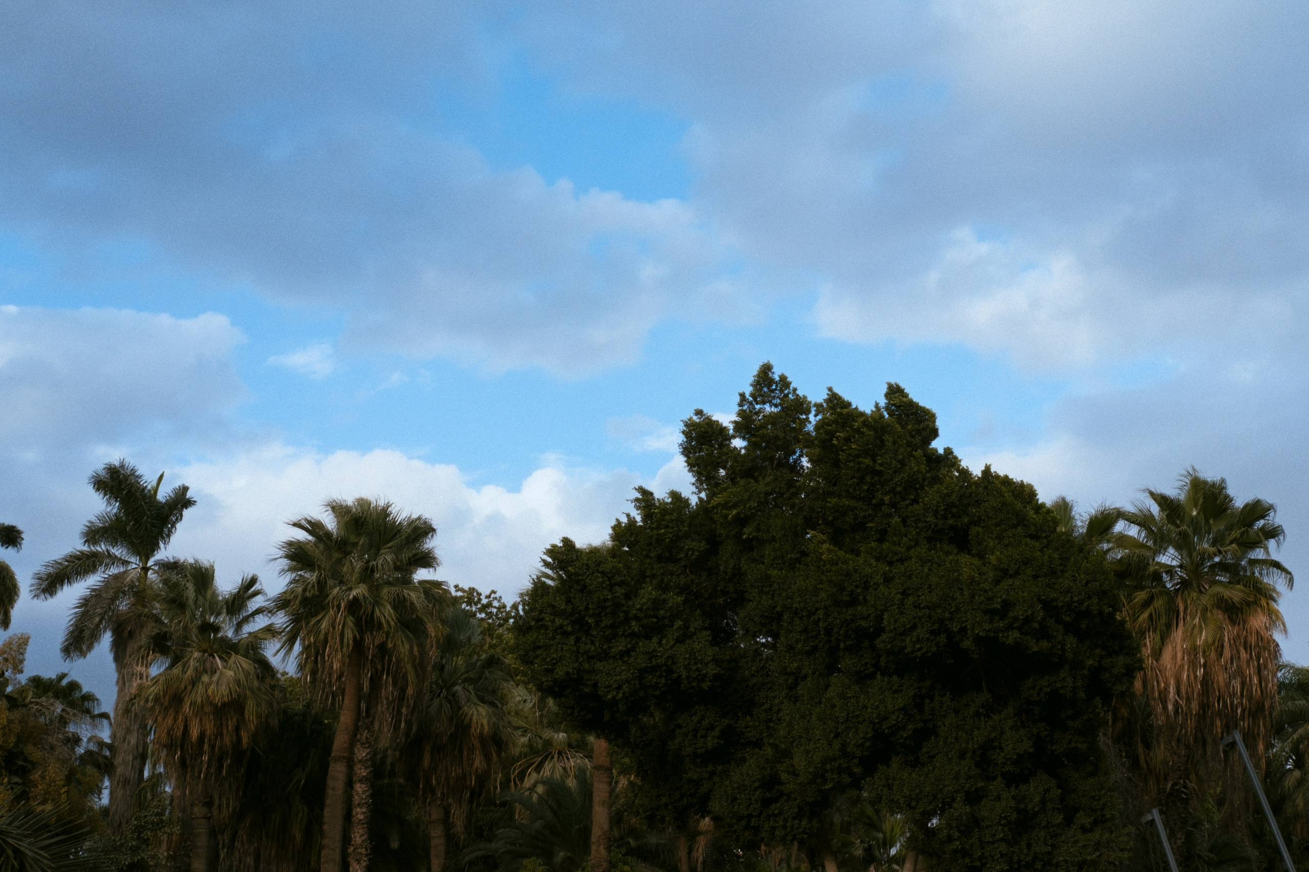 Cairo / Egypt AW25. Фотограф Юрин Евгений