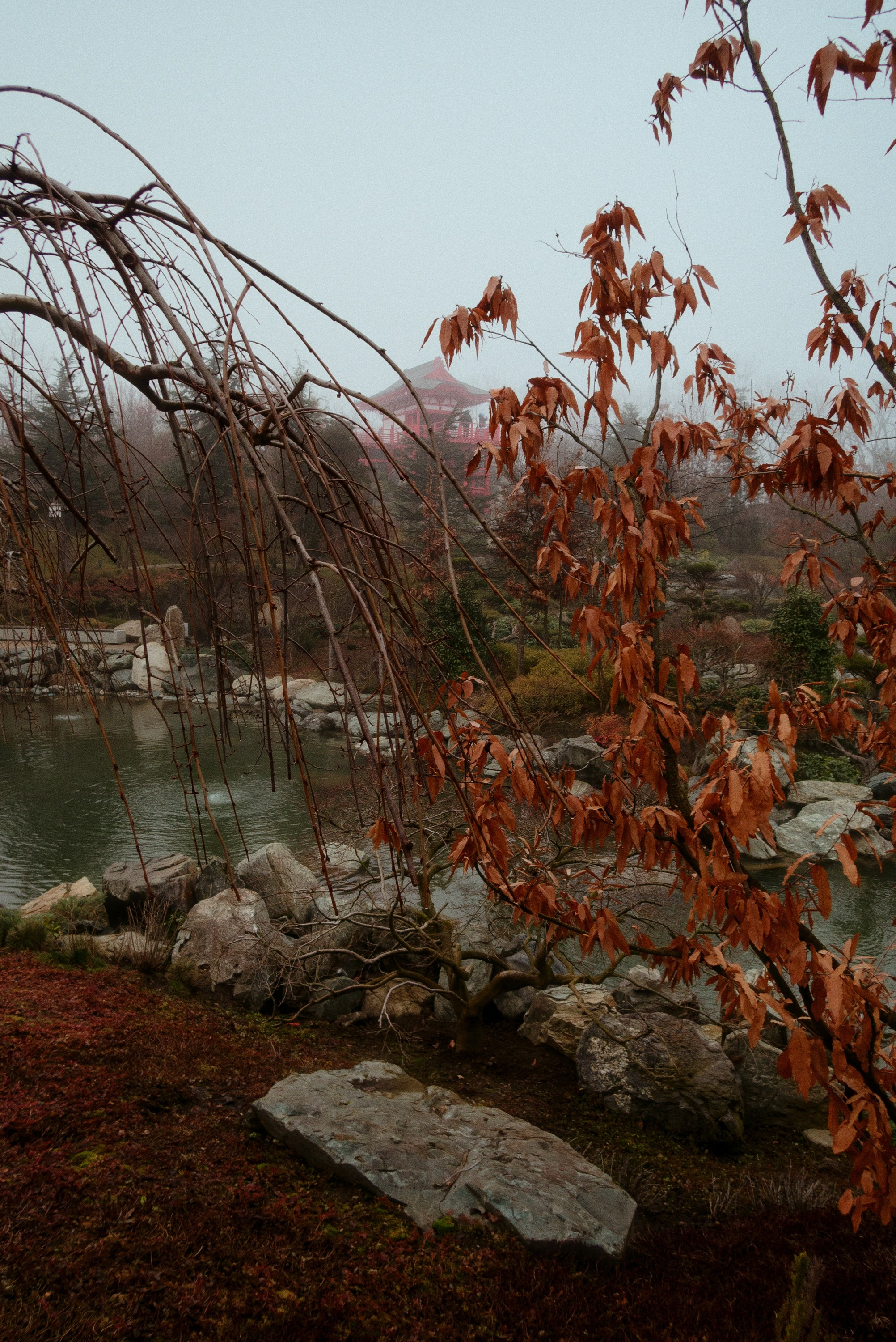 OM-System Tough-7 / Park Krasnodar (japan). Фотограф Юрин Евгений