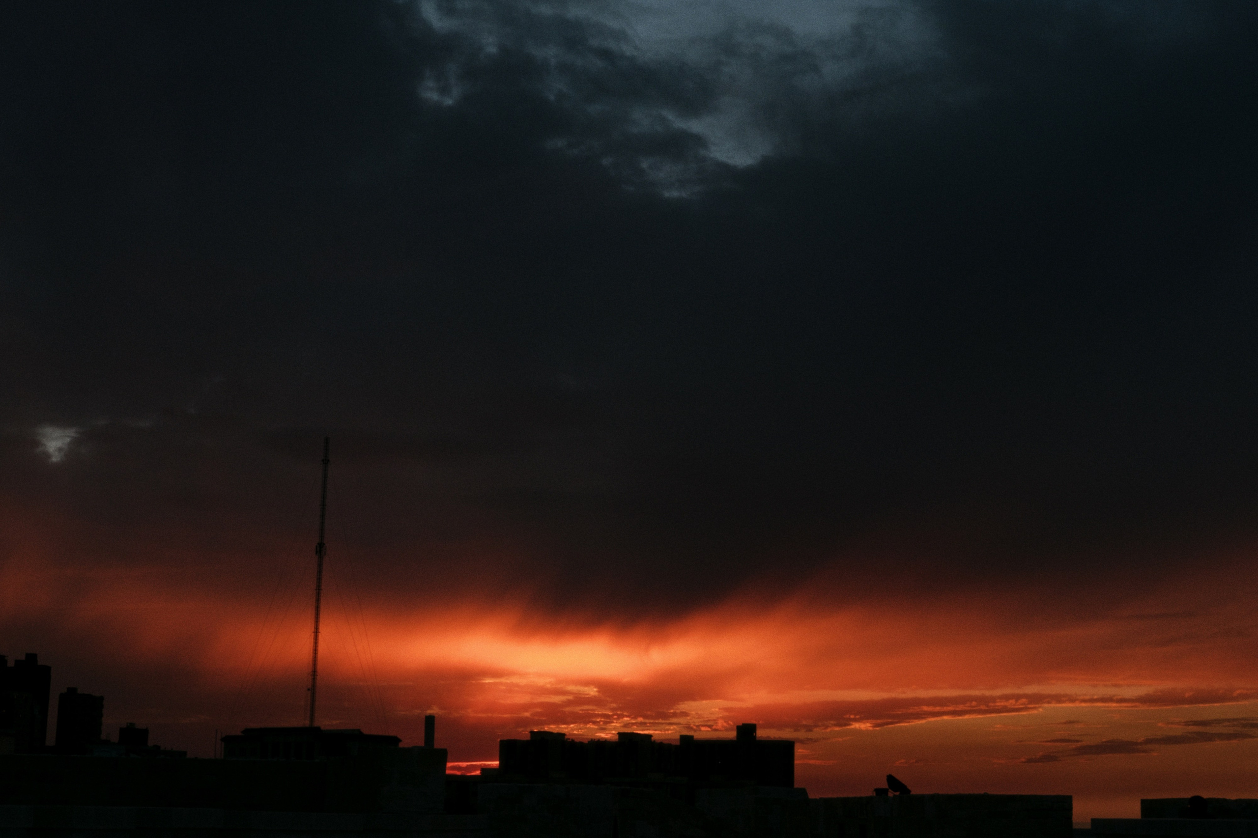 Alexandria / Egypt AW25. Фотограф Юрин Евгений