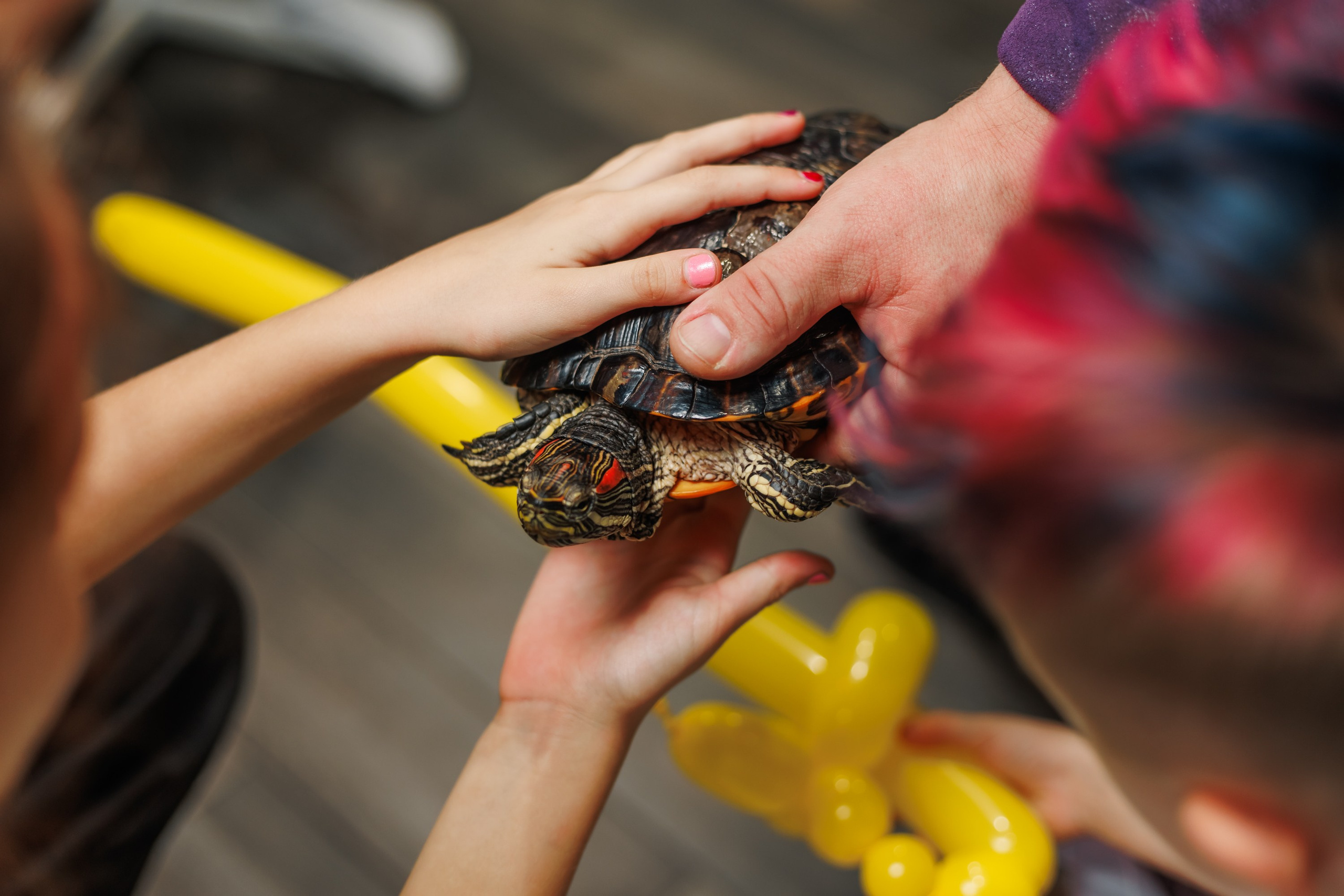 Детский День Рождения. Репортажный фотограф. Москва. Алина Ланская