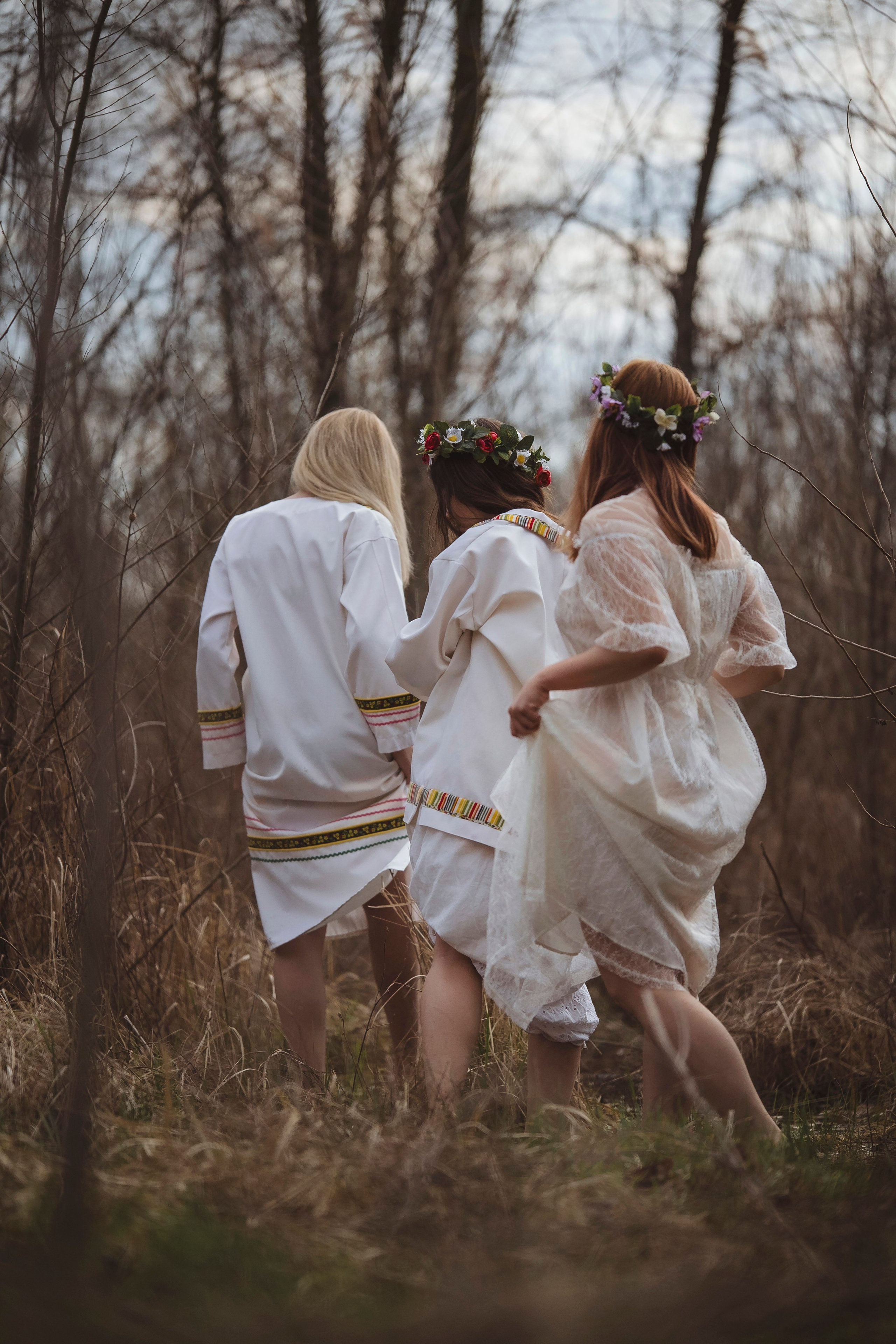 Зеленый остров. Главная