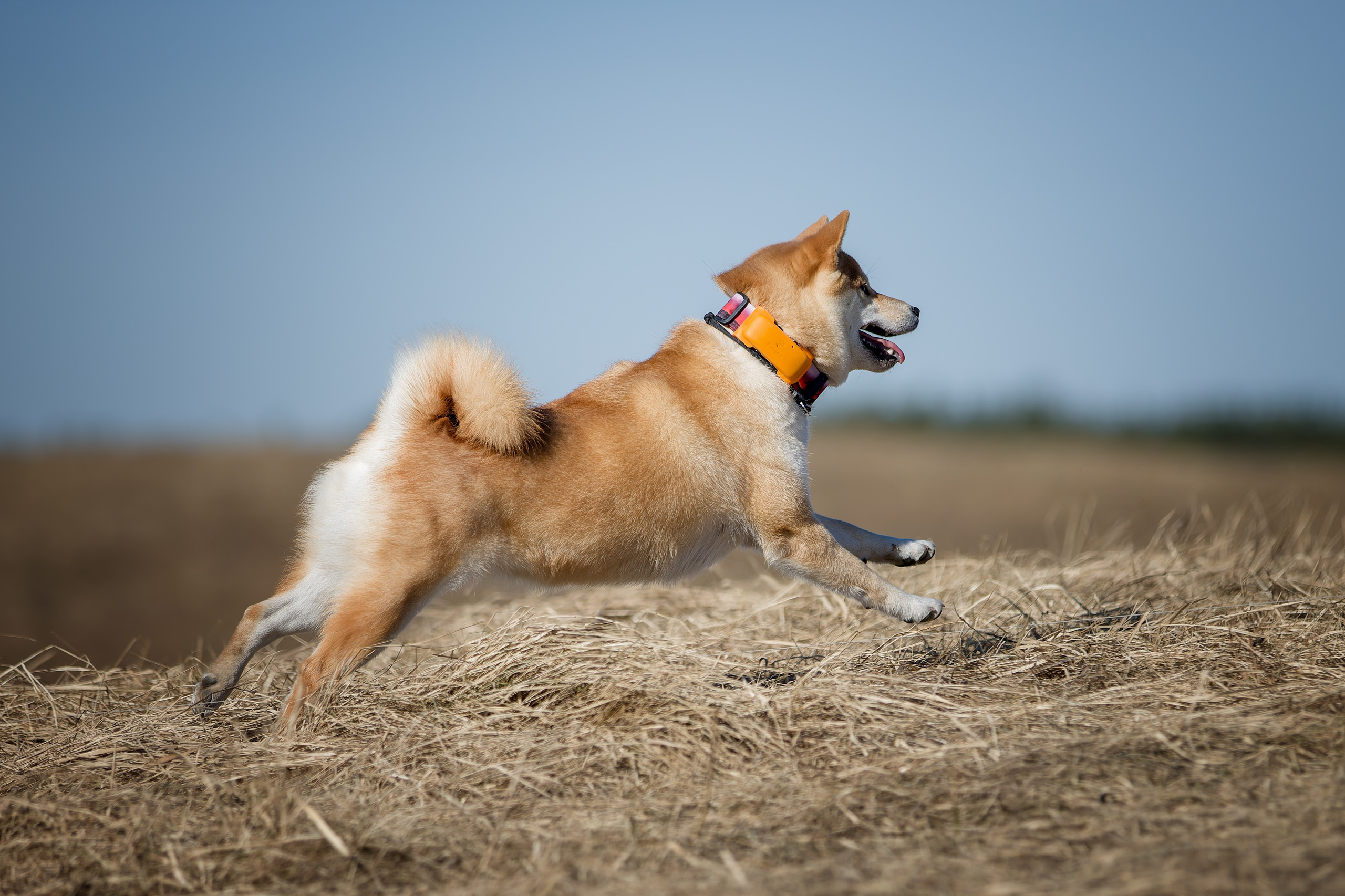 Lure Club 2026. Irenephoto.ru