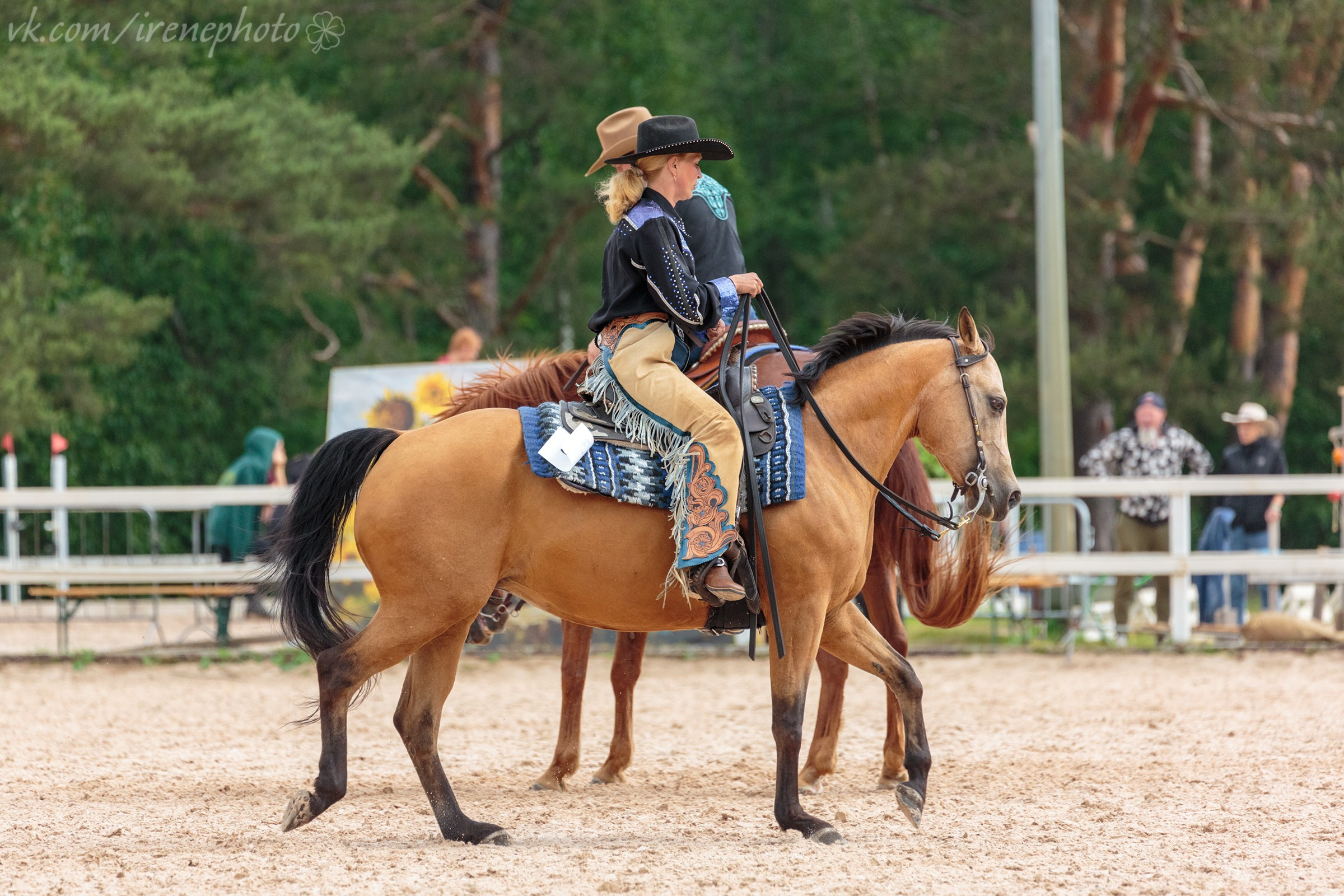 Иппосфера 2024. Irenephoto.ru