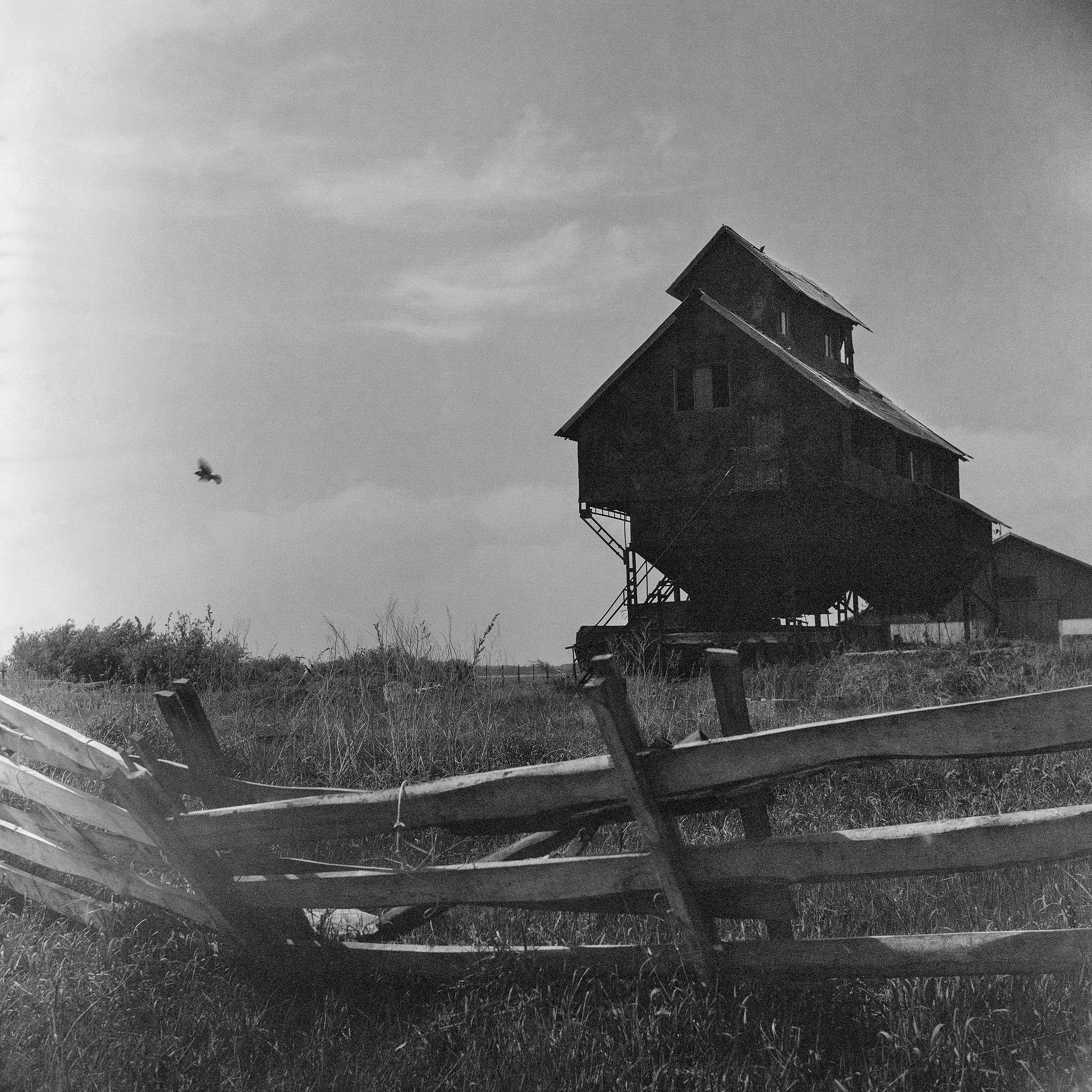 Street-photo города Новосибирск. Портретный и репортажный фотограф. Мыльников Илья