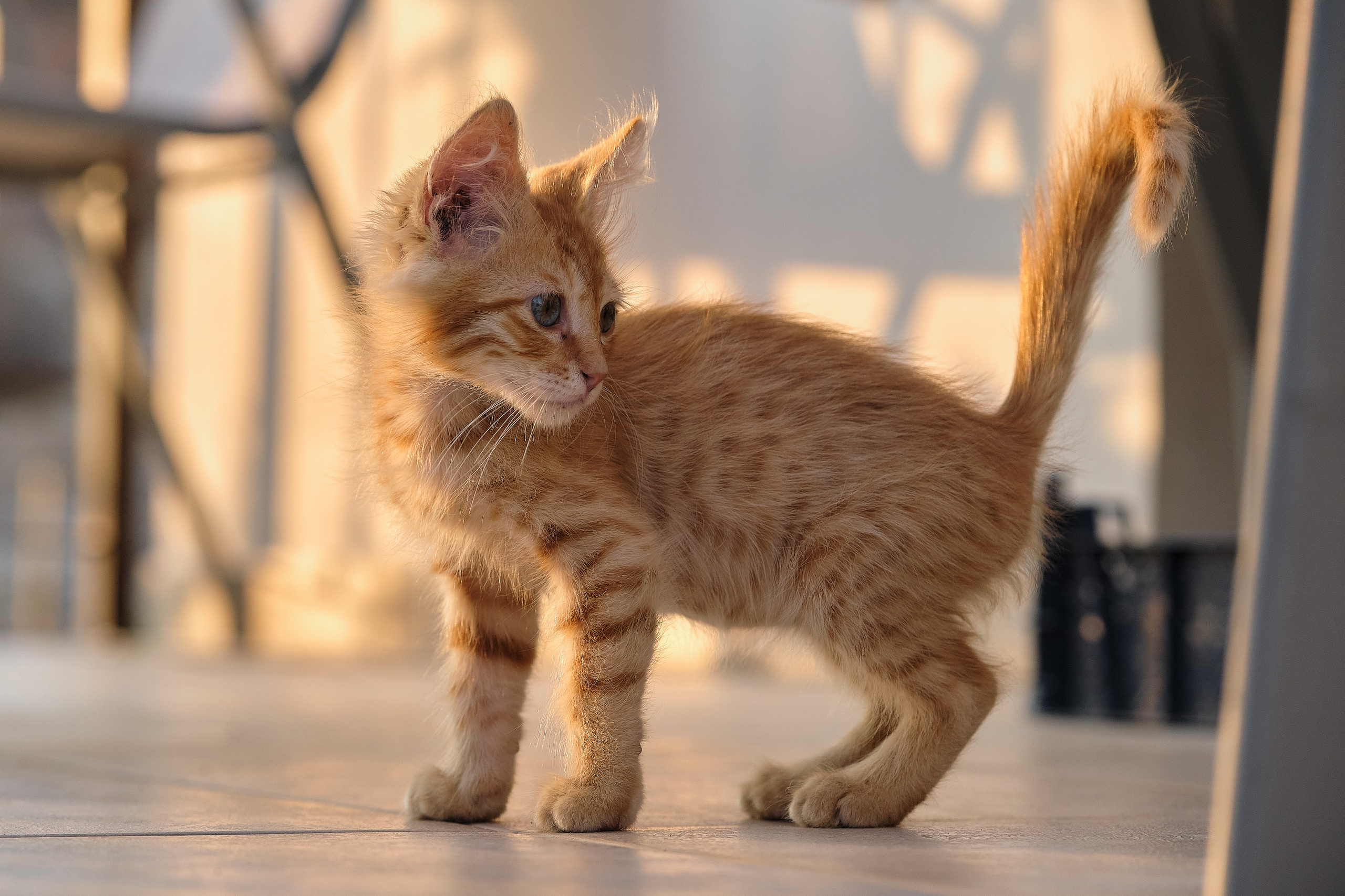 Cyprus > 2023 / kat. Aleksandr Kobtsev