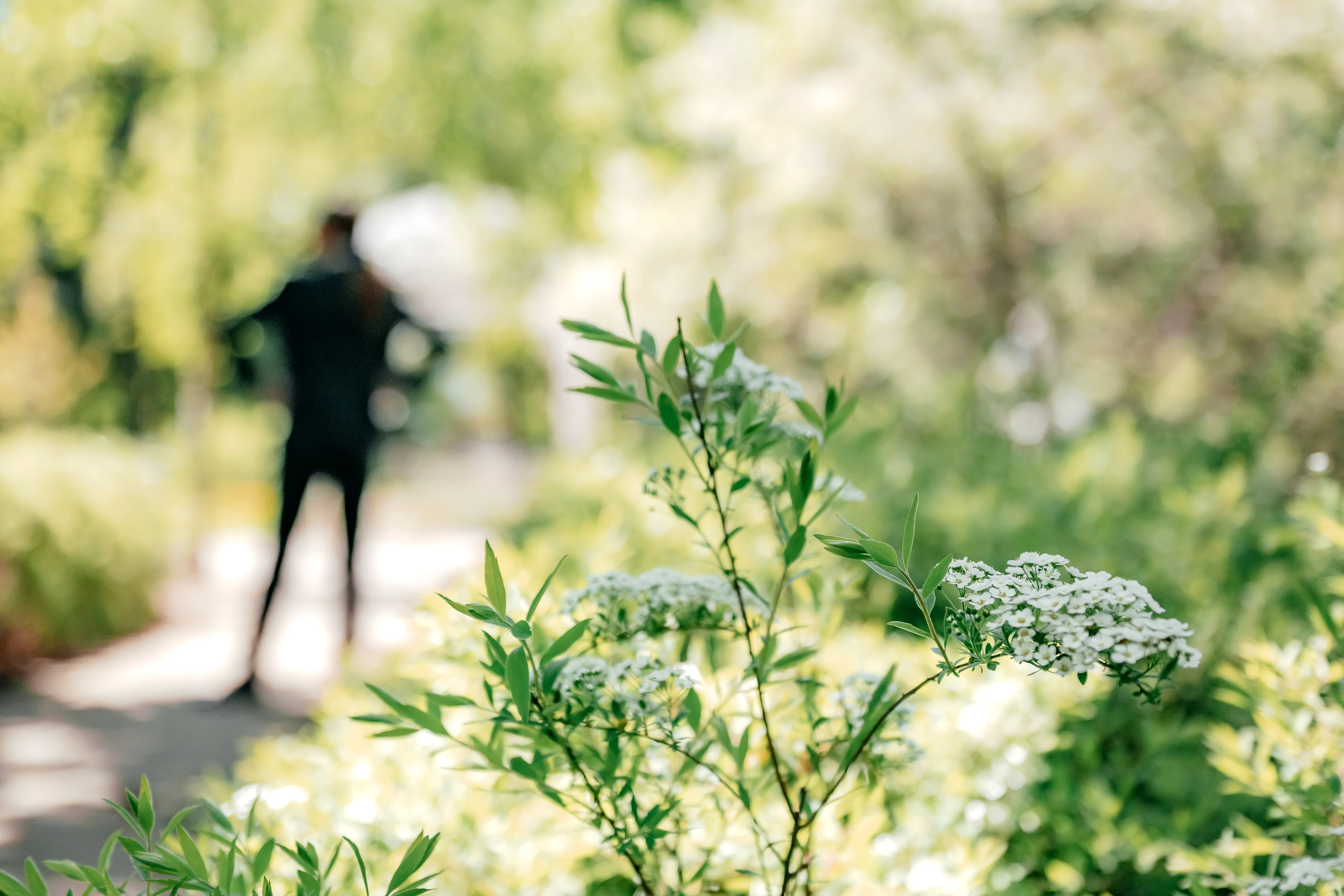 Свадьба с фотосессией в Усадьбе «Быково», основная часть — Яхт-клуб «Капитан». Свадебный и семейный фотограф Виктория Носачёва. Щелково, Москва и МО