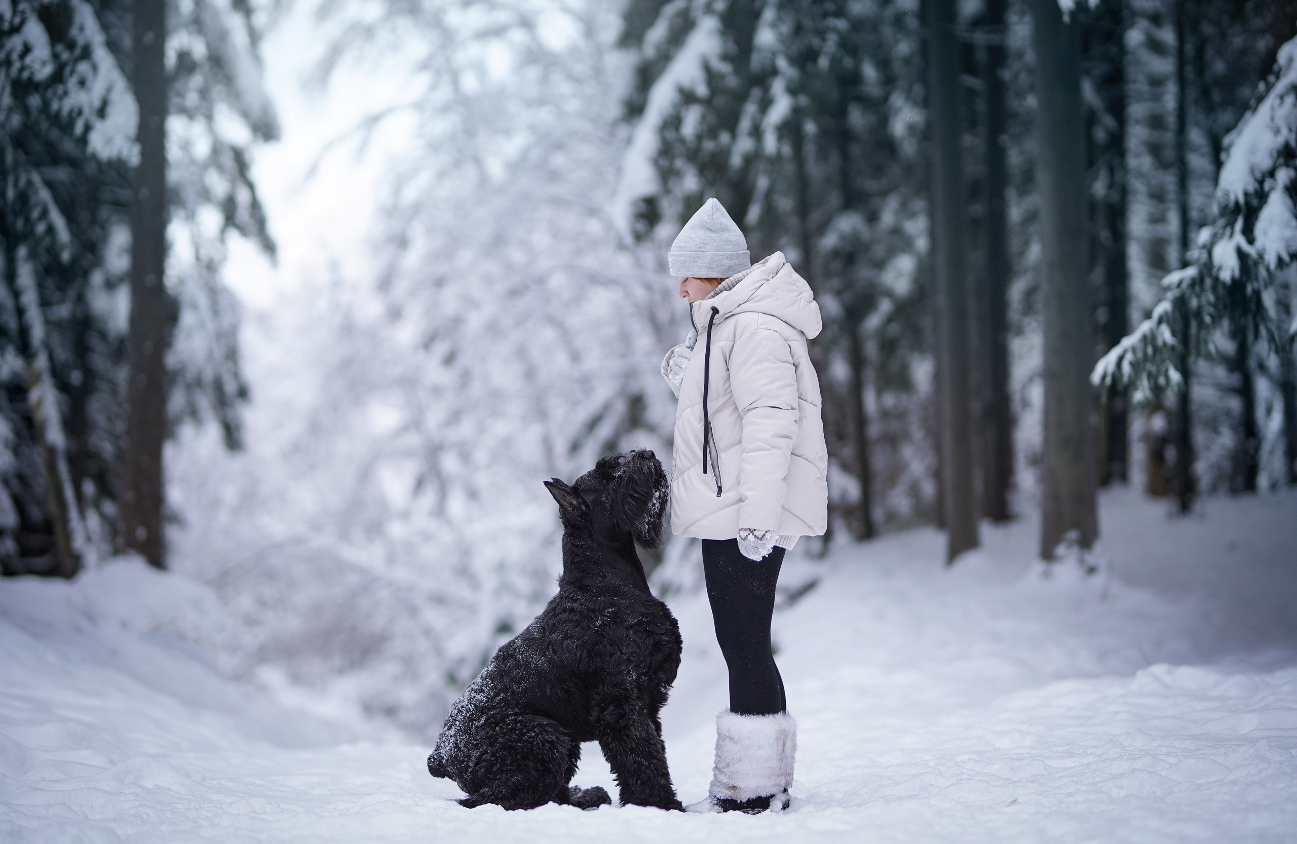 Оля Миша и шнауцеры. Фотограф-анималист в Санкт-Петербурге Яна Мартынова