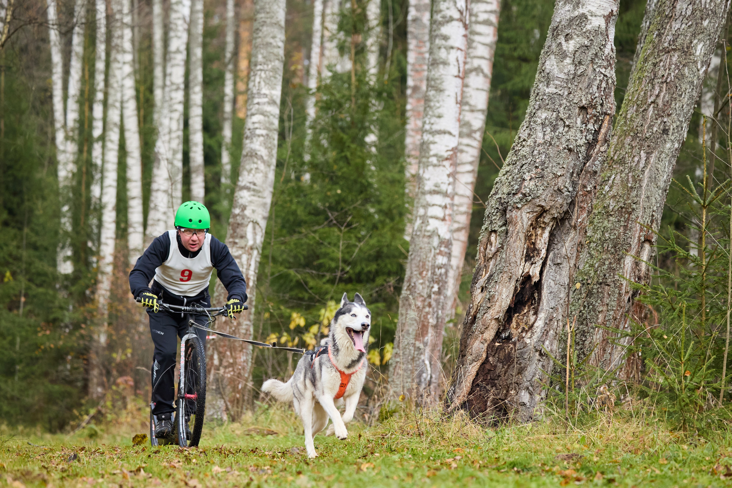 Чемпионат по ЕС Ярославской области. Фотограф Ирина Астор