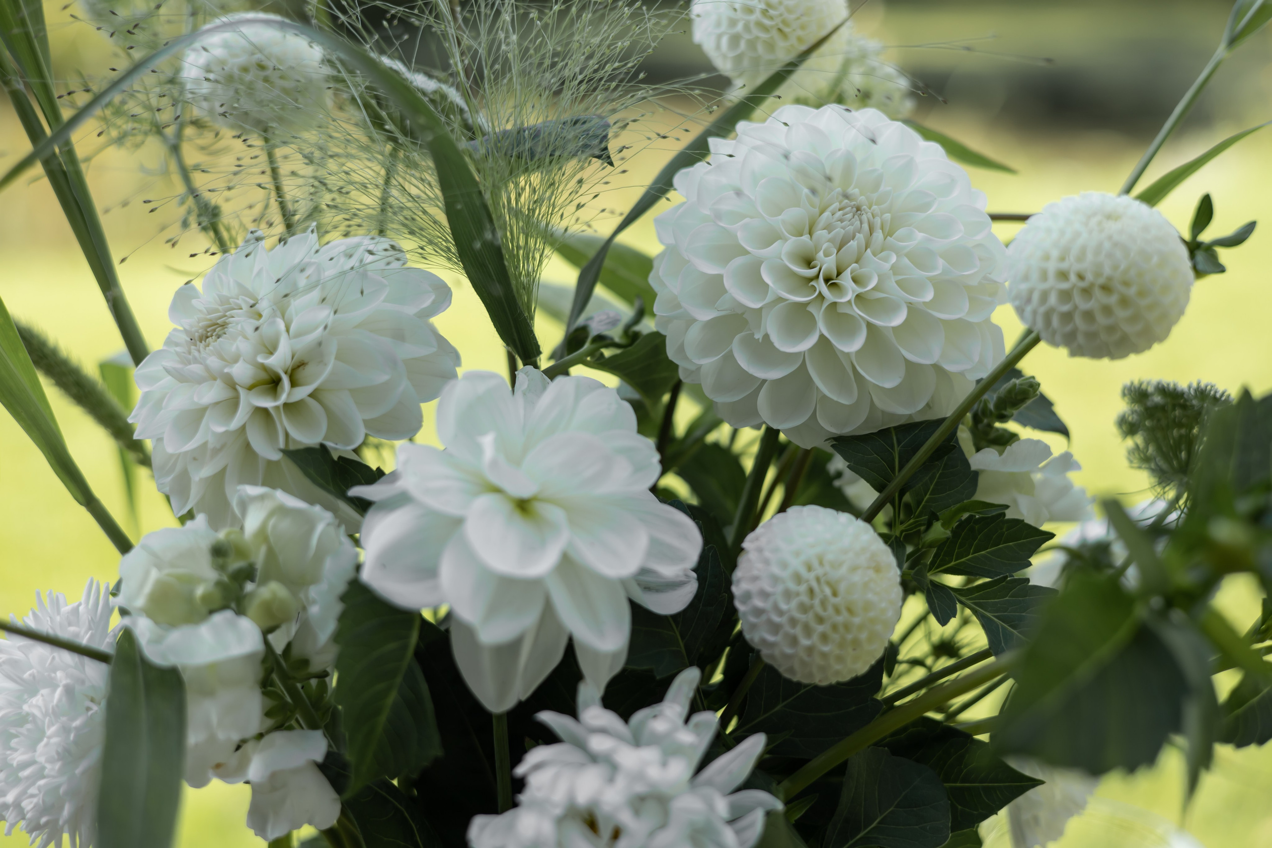 ДИНИЯ. Фотограф Элла Ефимова