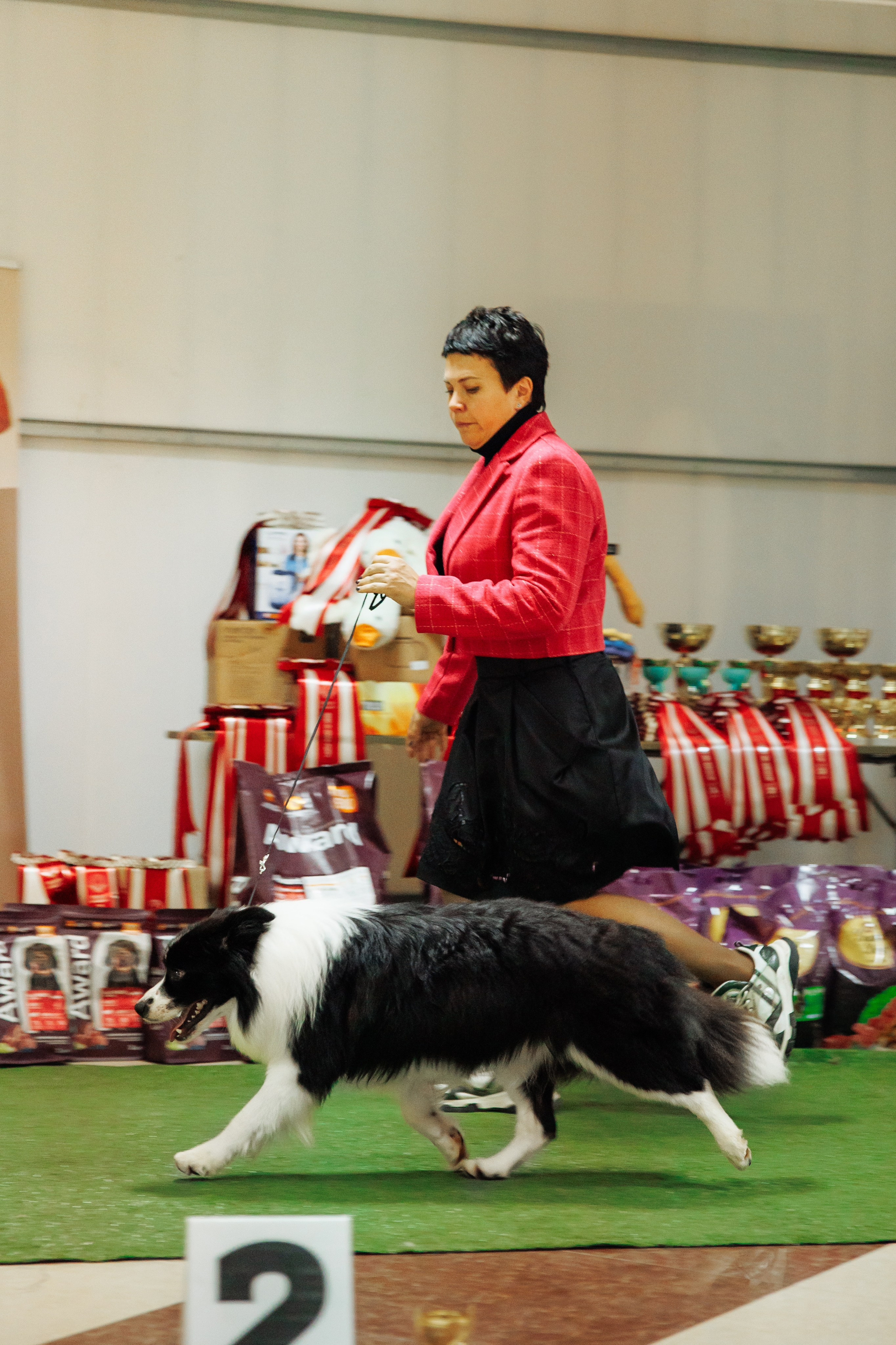 Zenith Mystique Regni — Дени. О нас