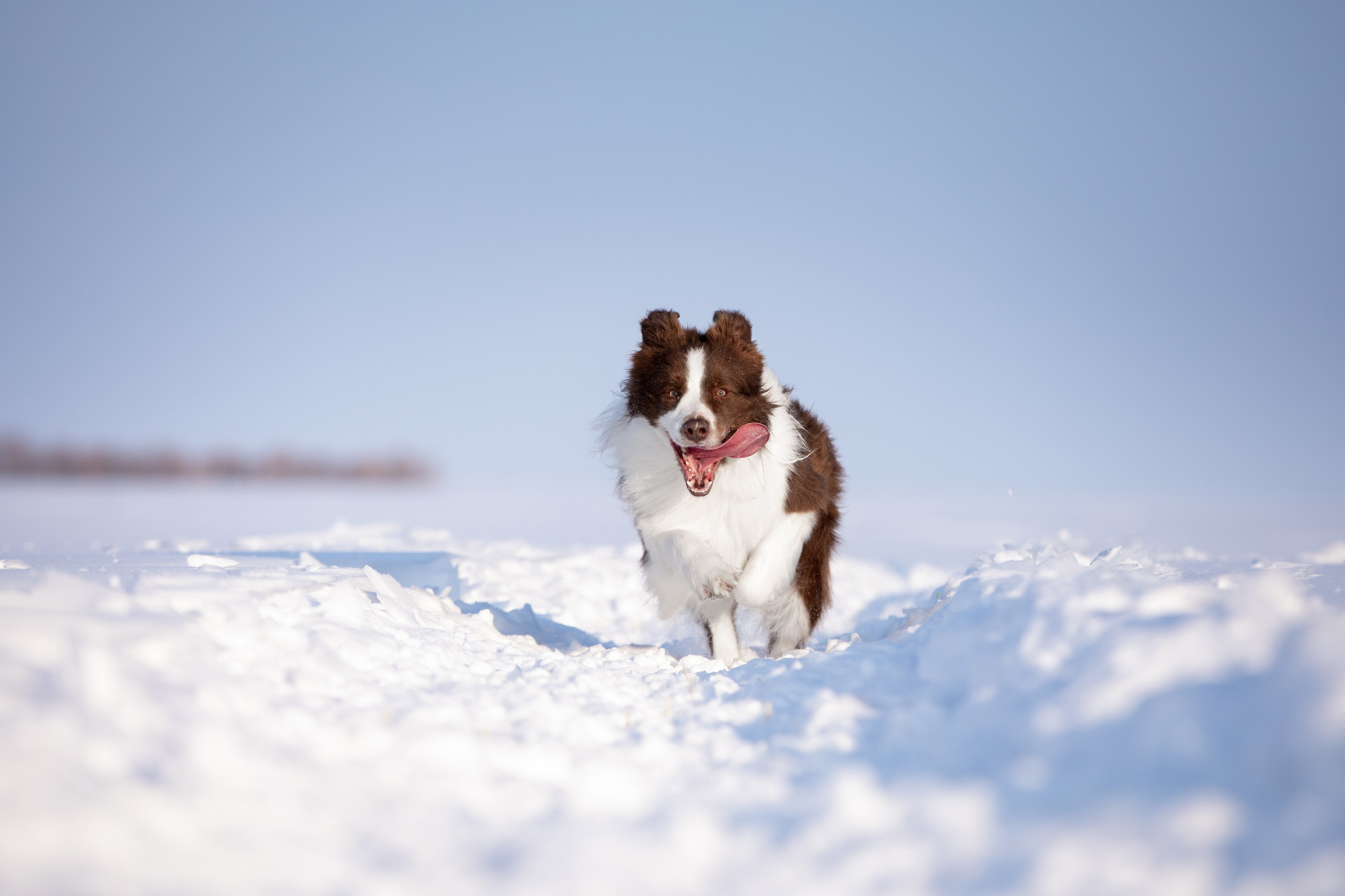 Мороз и солнце. О нас