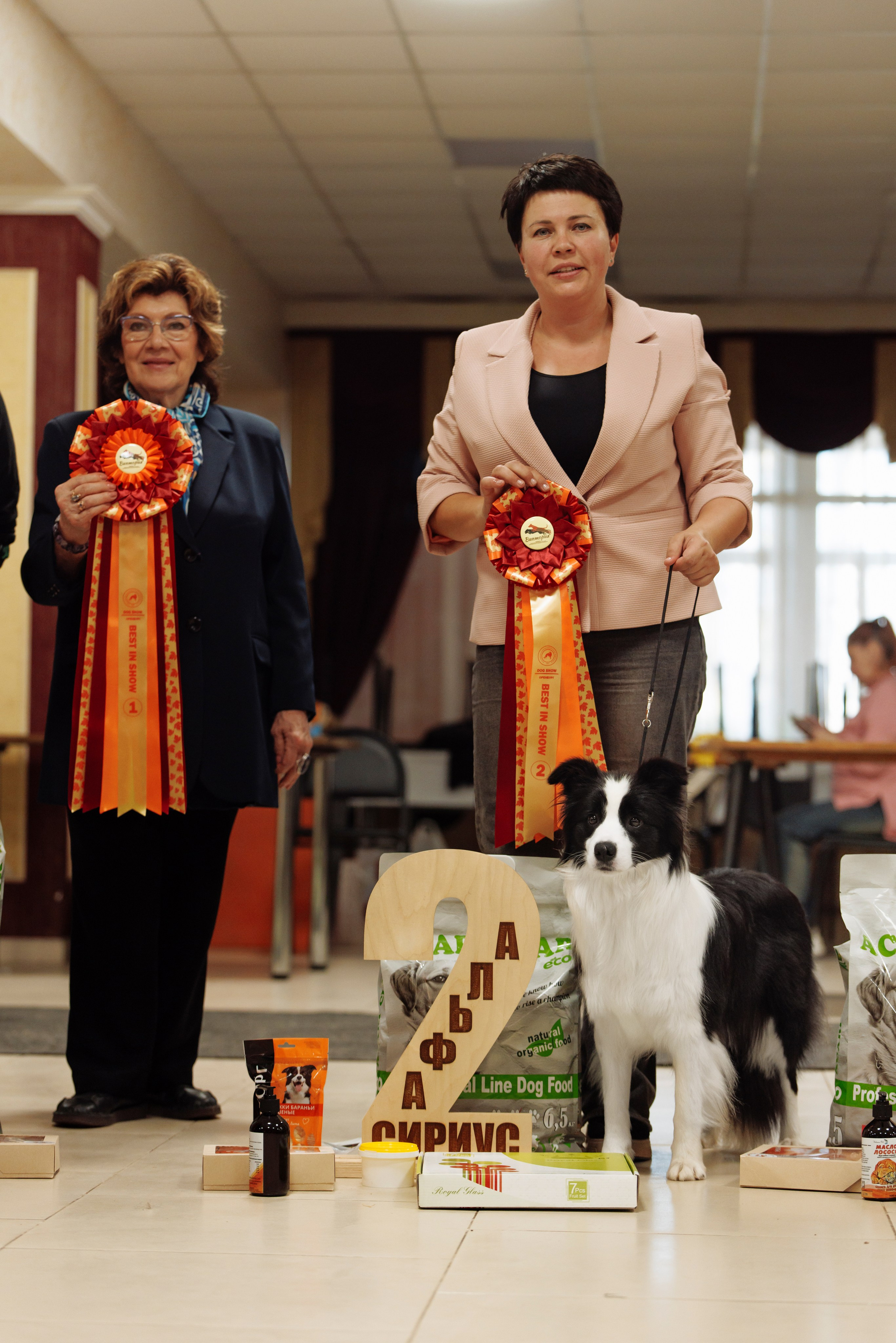 Выставка октября в Оренбурге. О нас