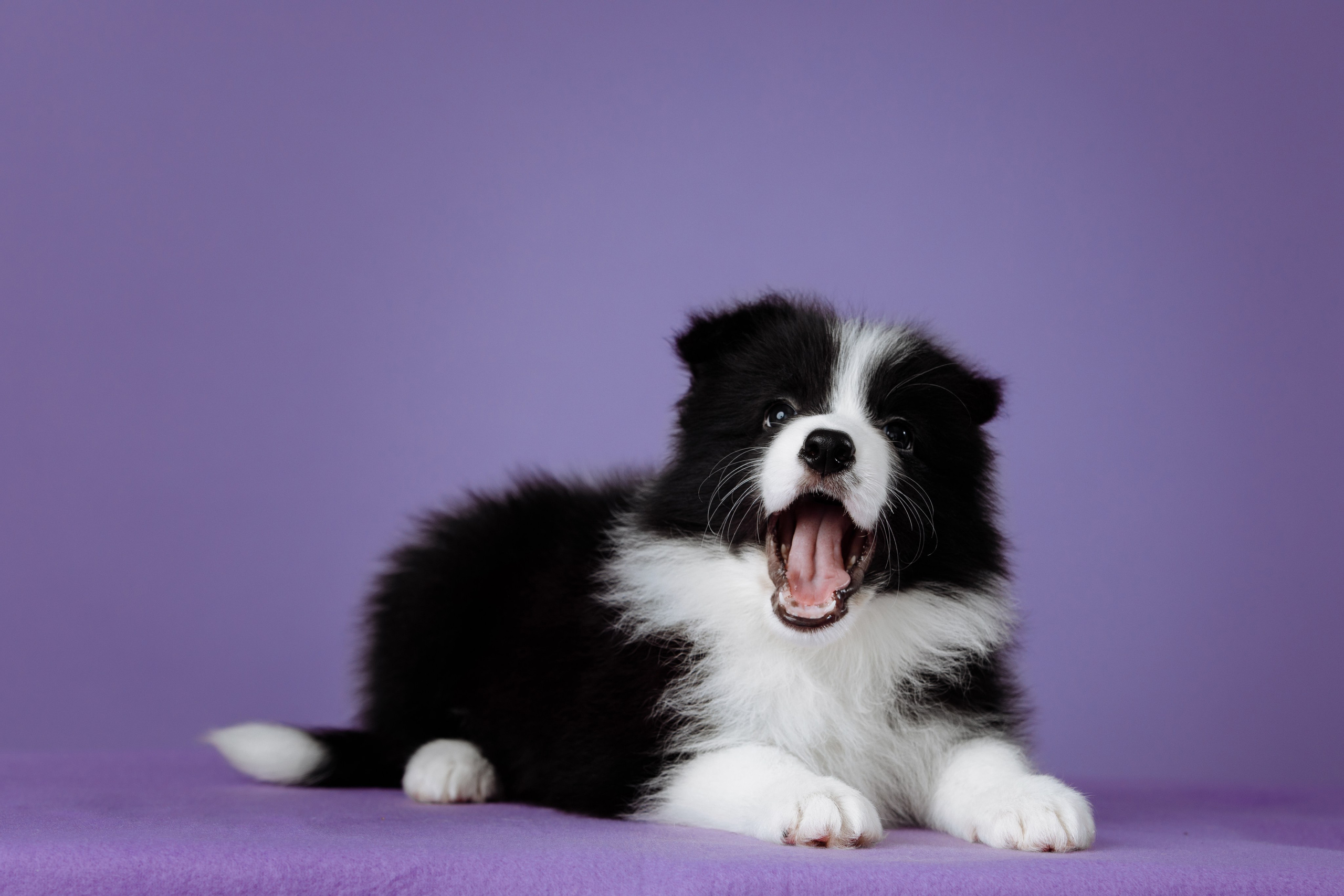 Март. Весна. 22. О нас