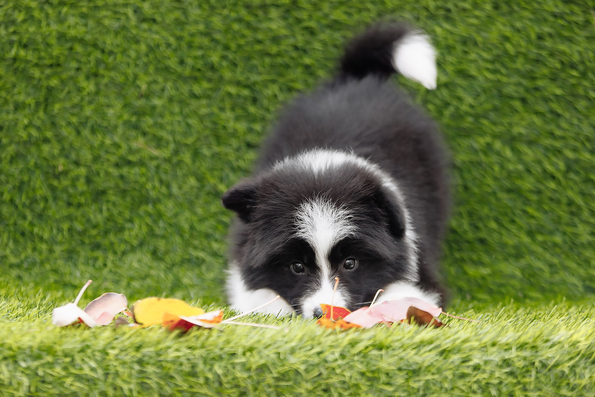 Новый лист. О нас