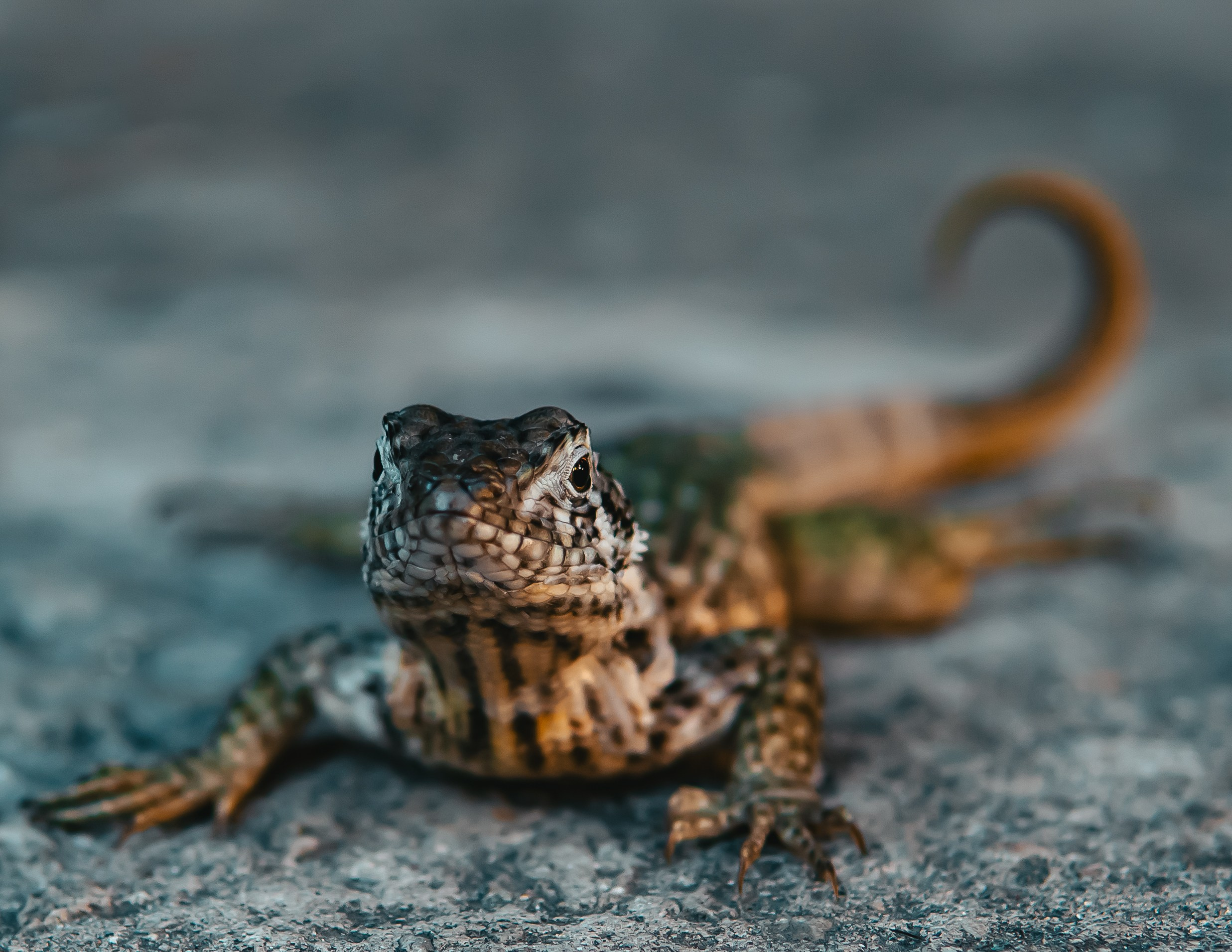 Кубинские истории. Фотограф в Москве Юлия Першина