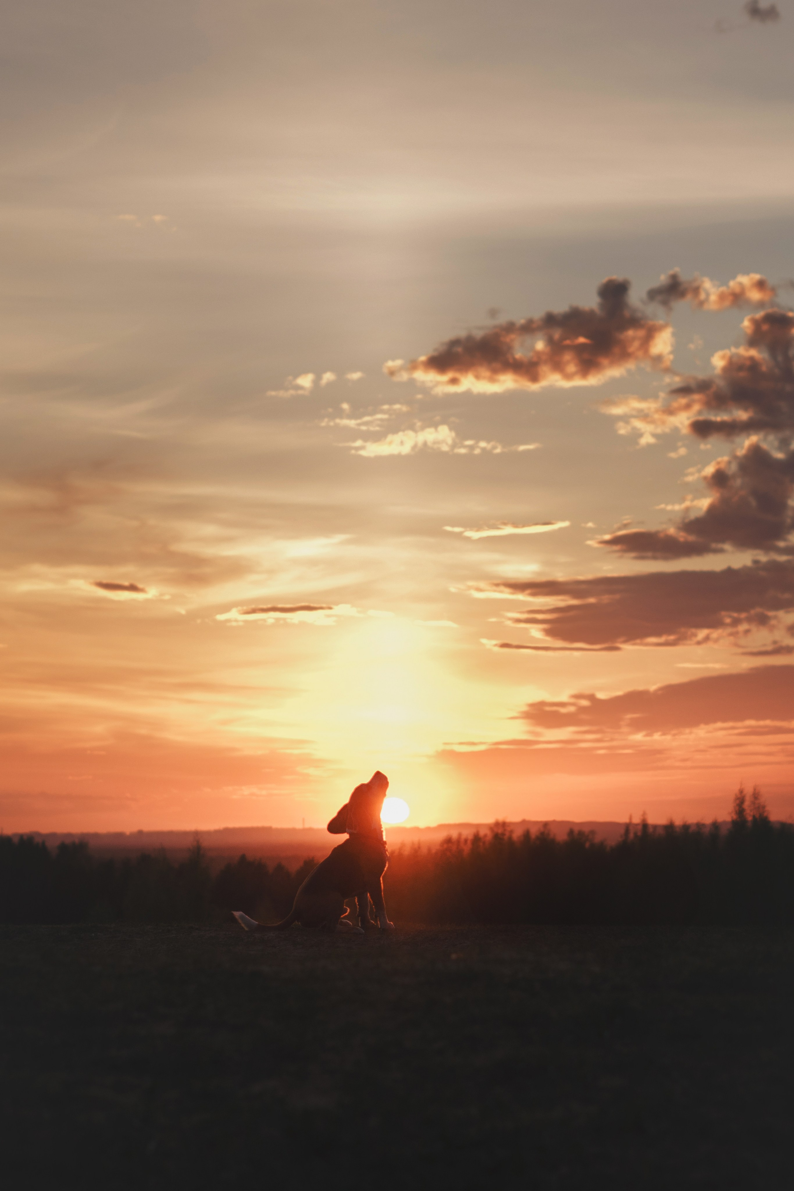 Юля и Зайфер. Фотограф анималист Осипчикова Мария