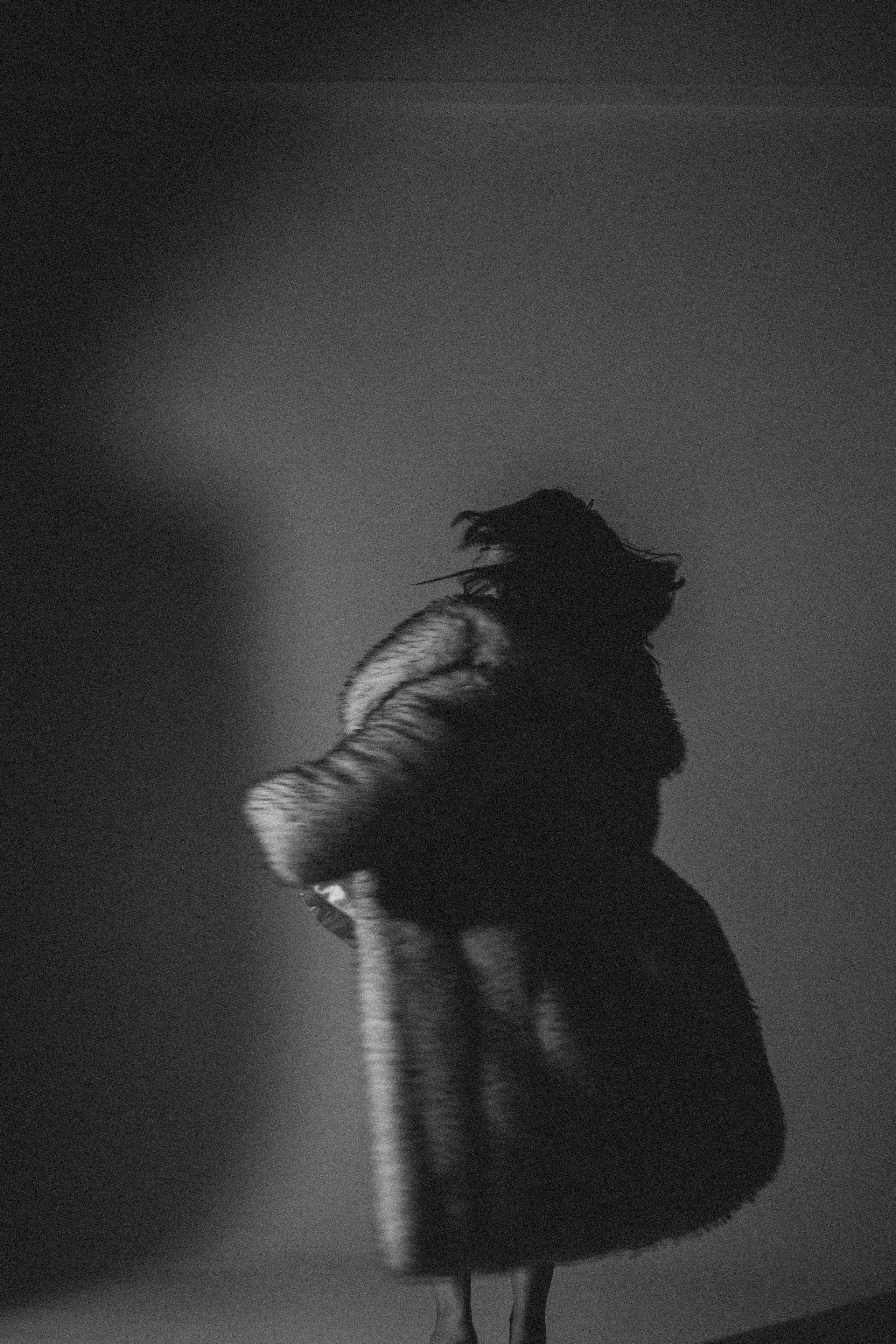 История ко дню рождения. Профессиональный фотограф, Санкт-Петербург — Виктория Богомолова