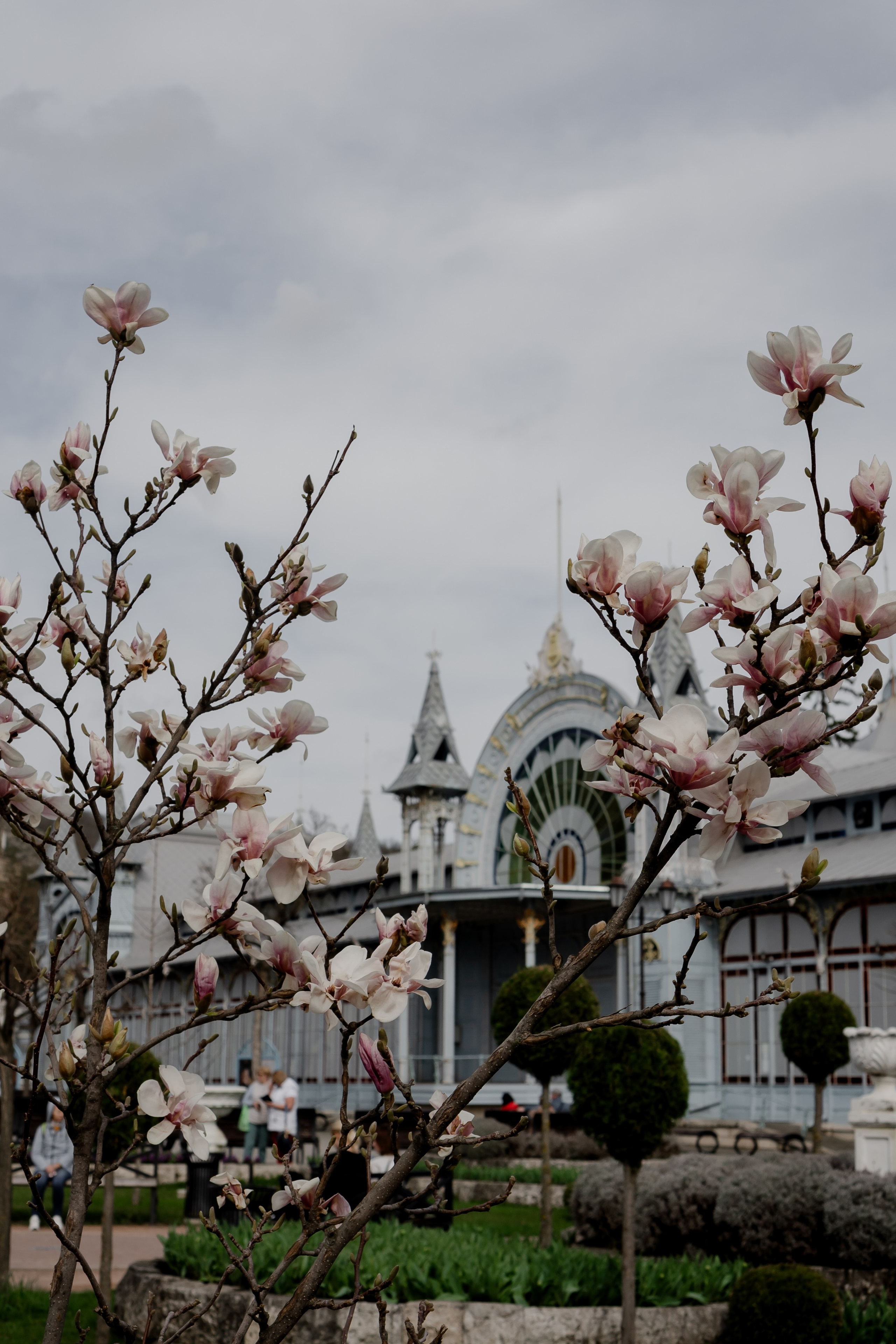 ПЯТИГОРСК. Профессиональный фотограф, Санкт-Петербург — Виктория Богомолова