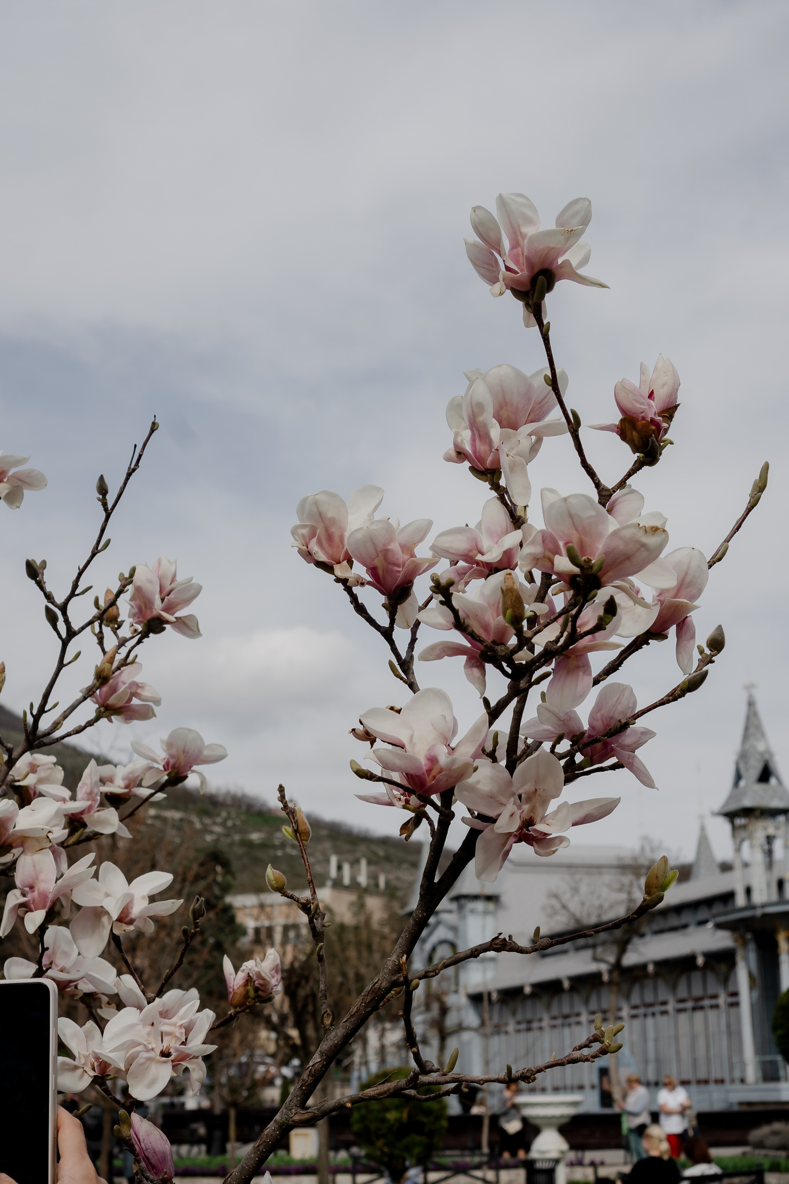 ПЯТИГОРСК. Профессиональный фотограф, Санкт-Петербург — Виктория Богомолова