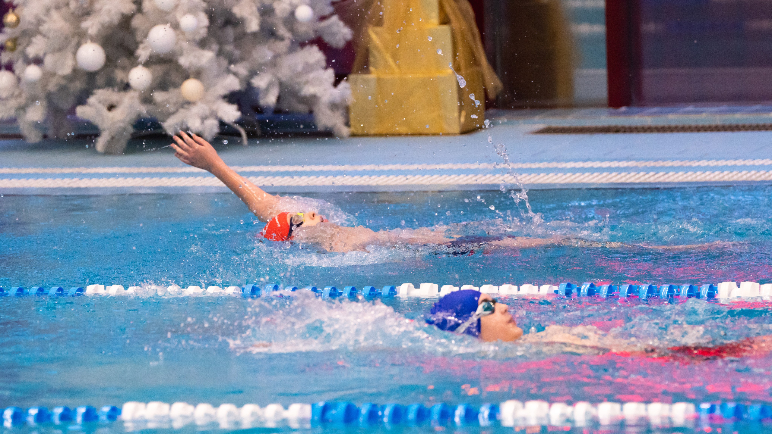 Открытый новогодний турнир по плаванию «Сила воды», 2025. Фотограф и видеооператор Екатерина Гнатюк