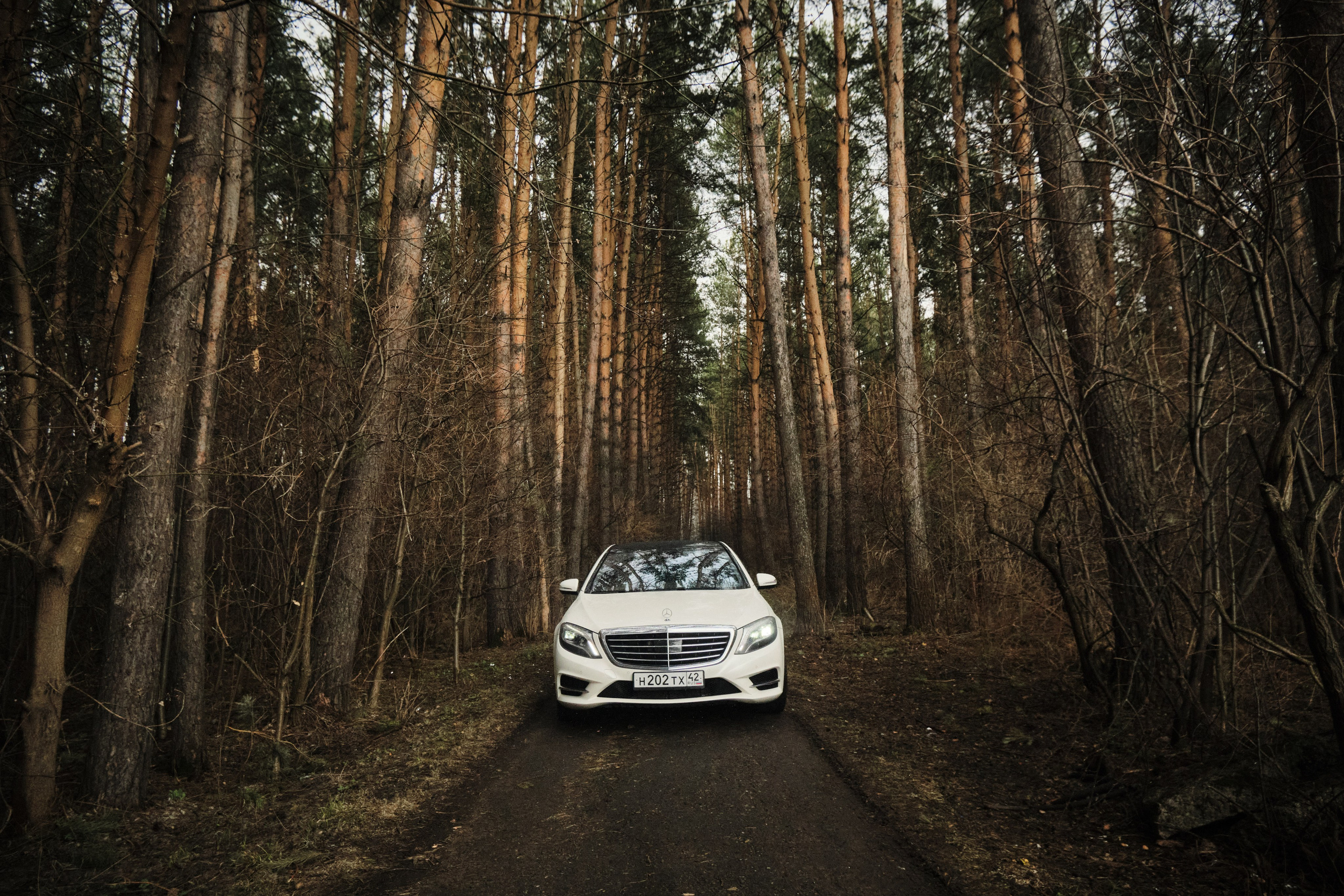 Эмин и Анастасия. Свадебный и семейный фотограф в Новокузнецке Иван Иванов