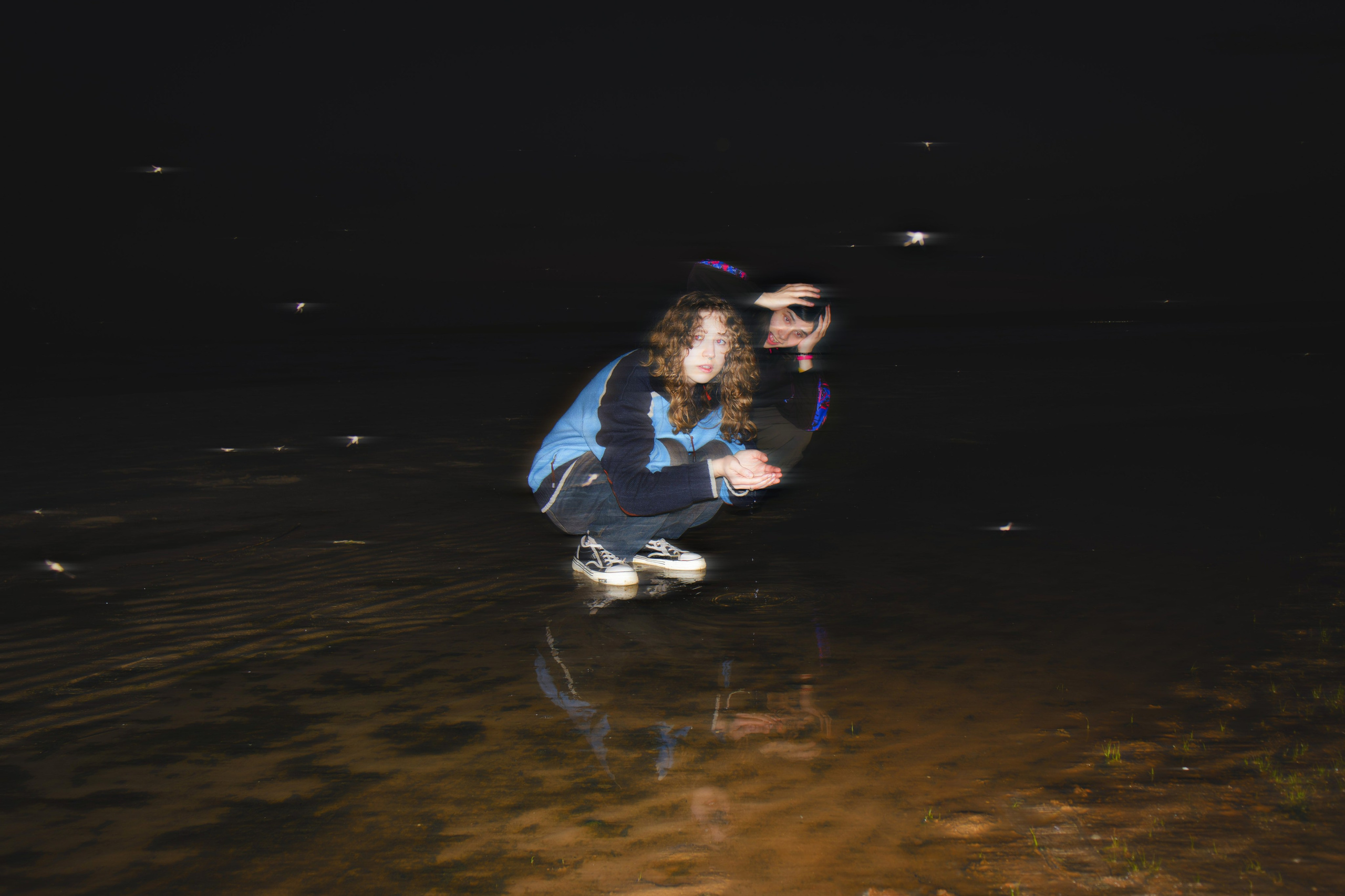 Из наблюдений. Плак или Квак