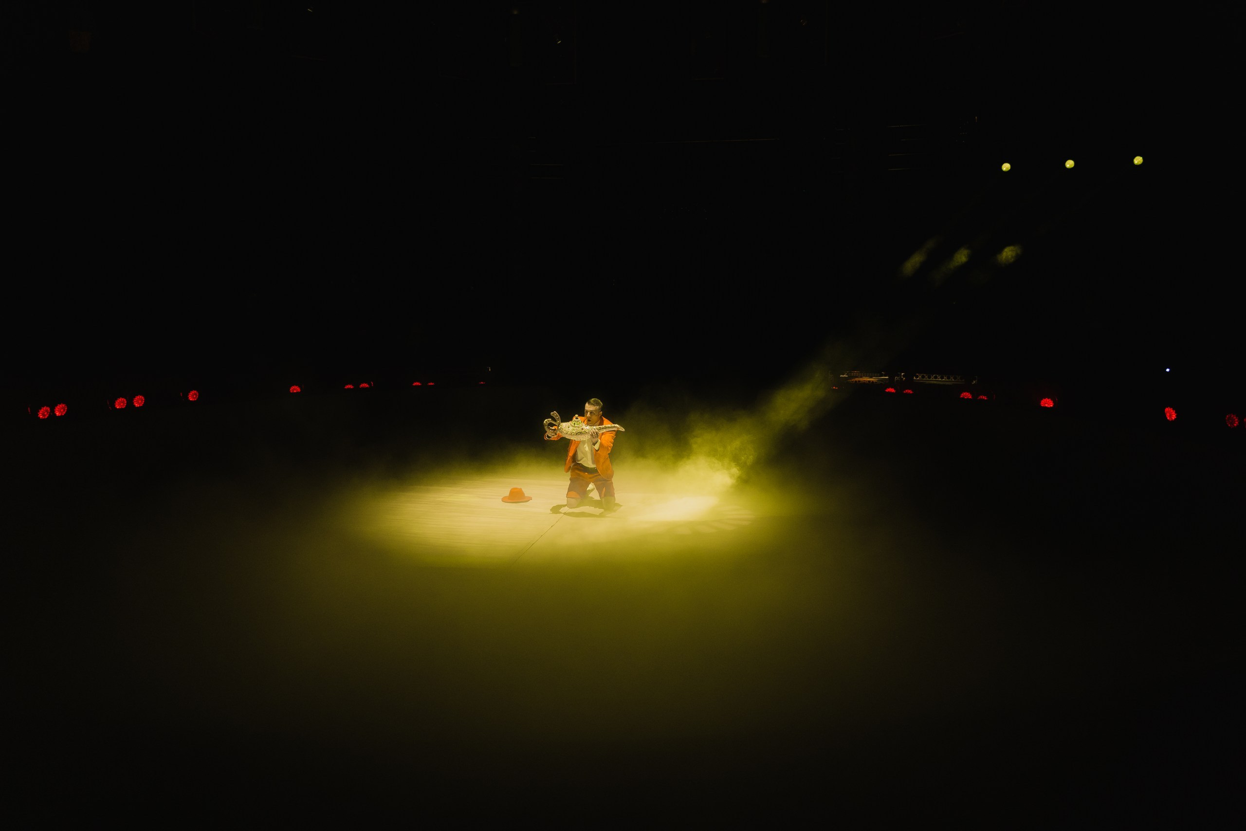 Шоу Гии Эрадзе. Фотограф Владивосток Такамацу Мия